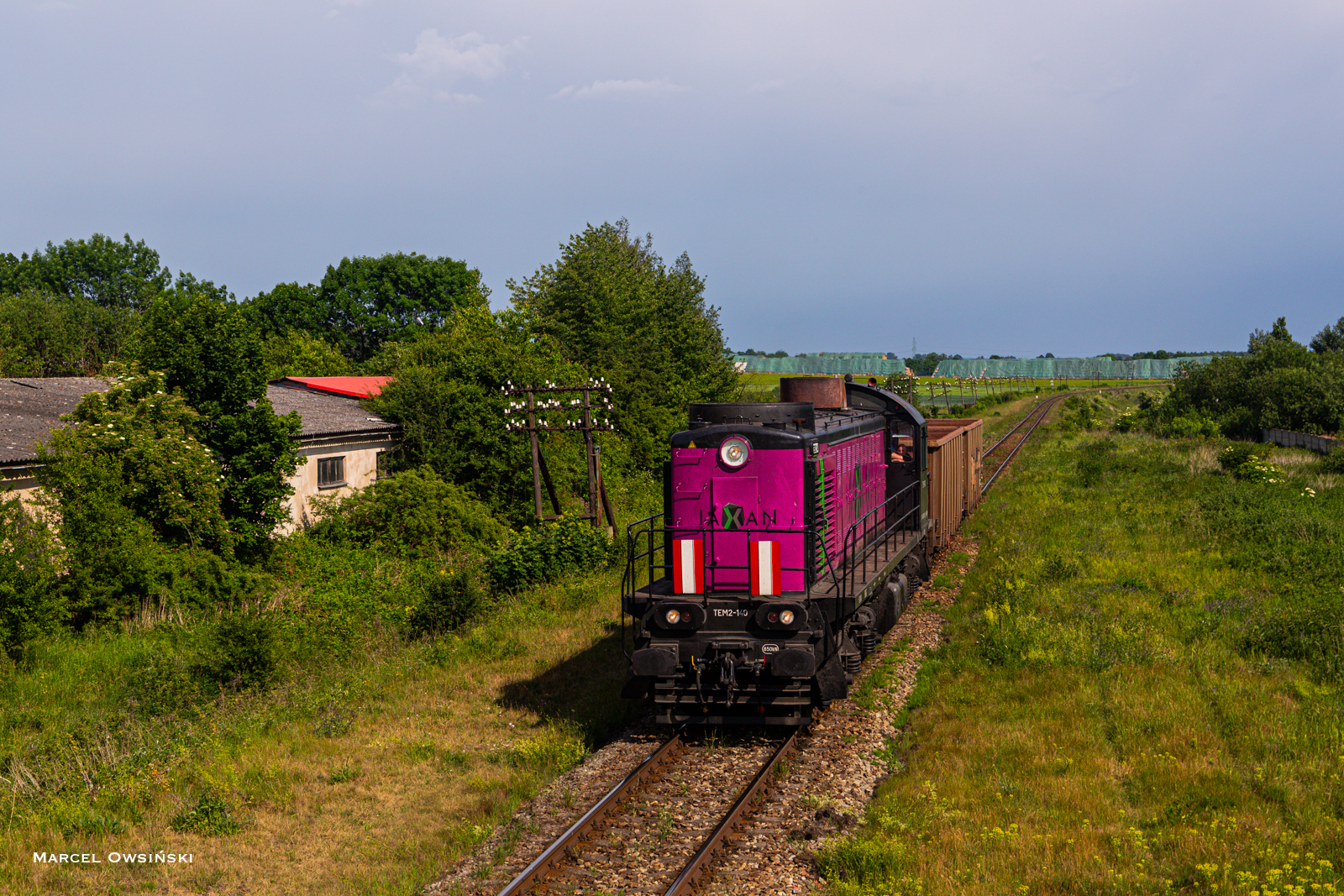 Landryna w Boże Ciało