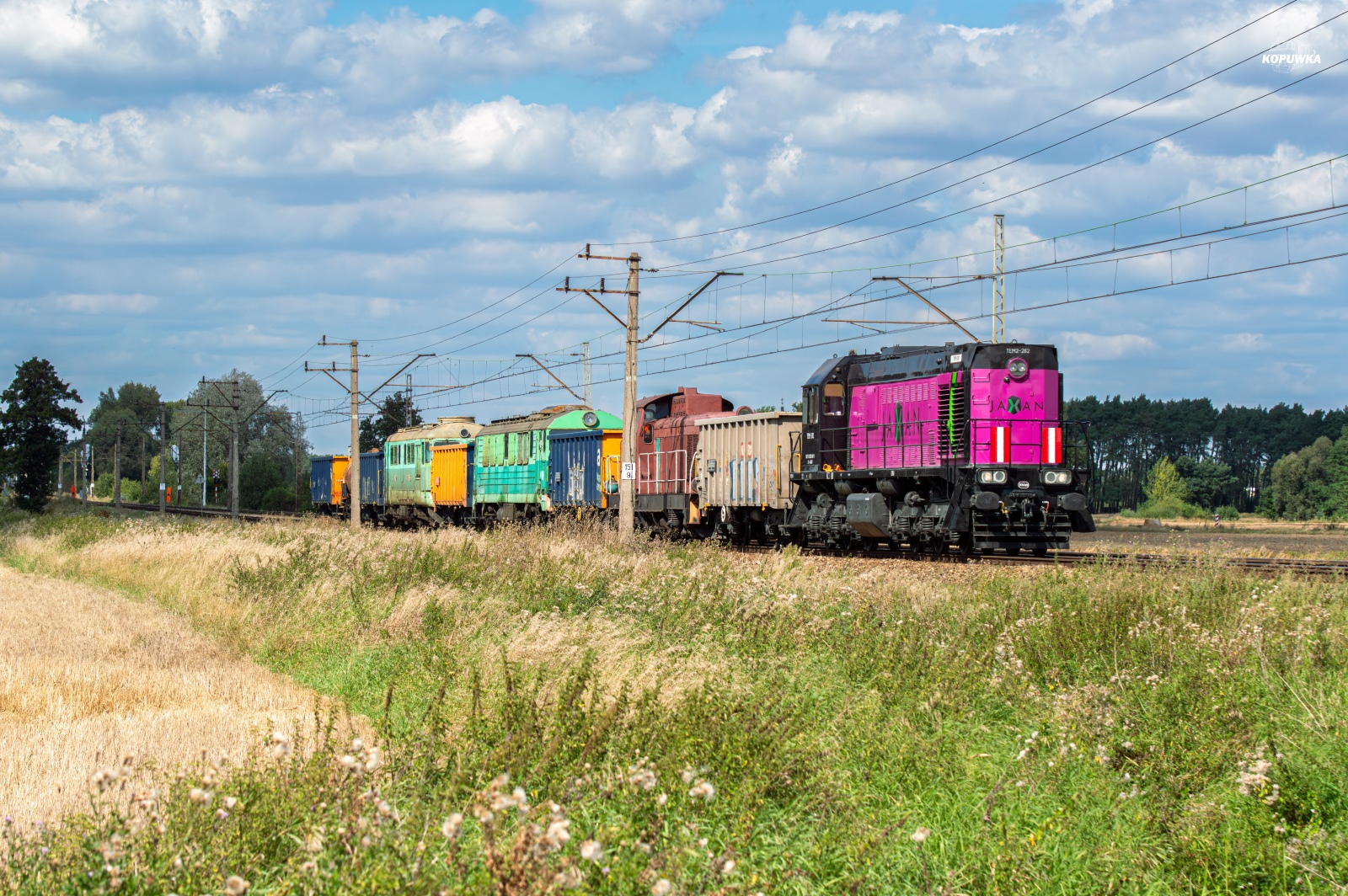 Ocalić z zapomnienia