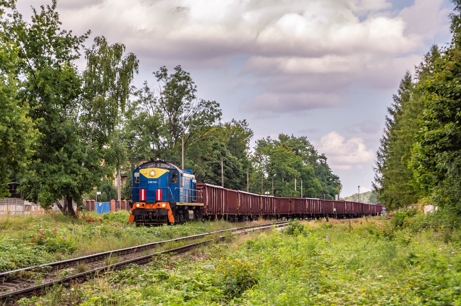 Kotlarnia w Strzegomiu