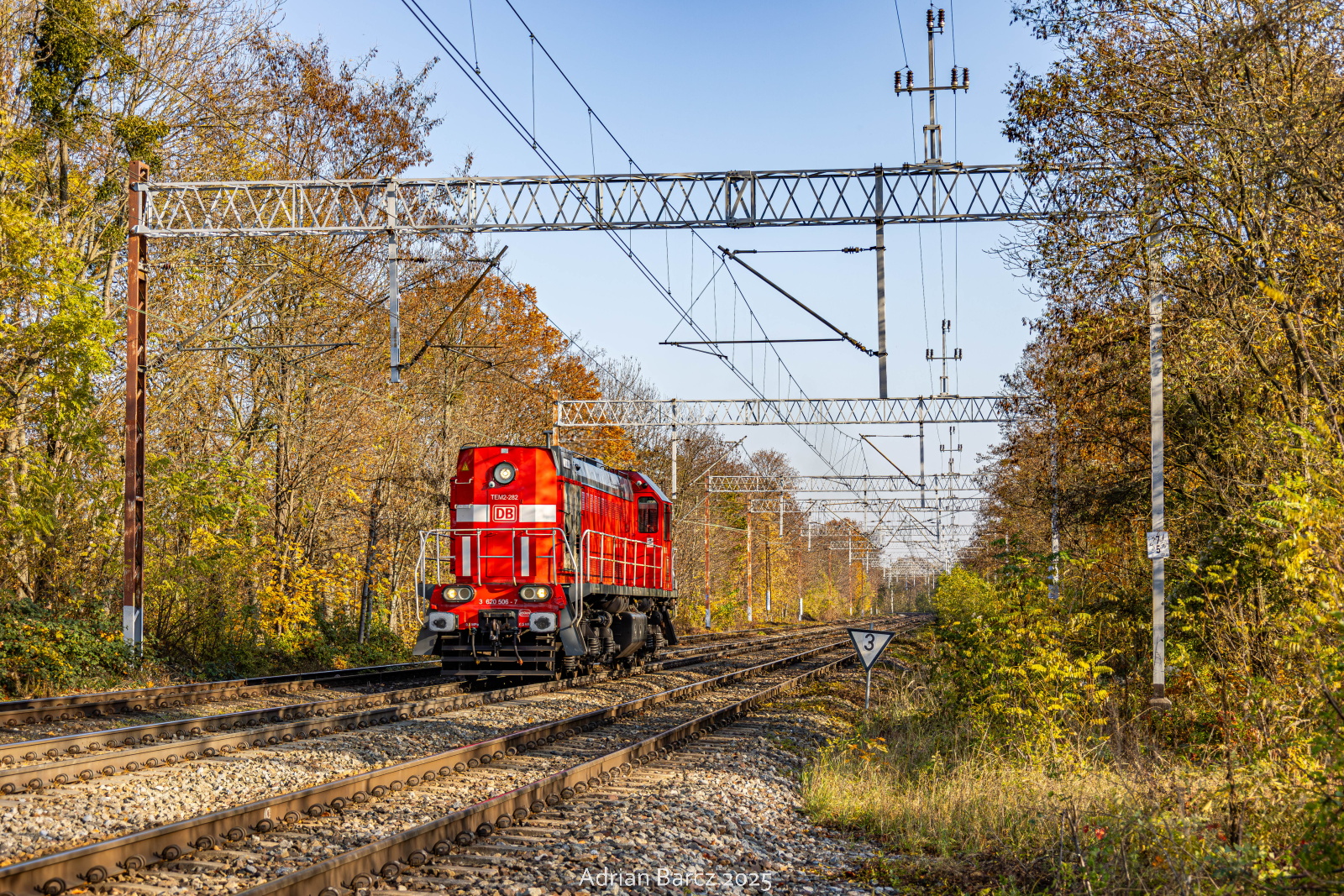 Tamarą po obwodnicy