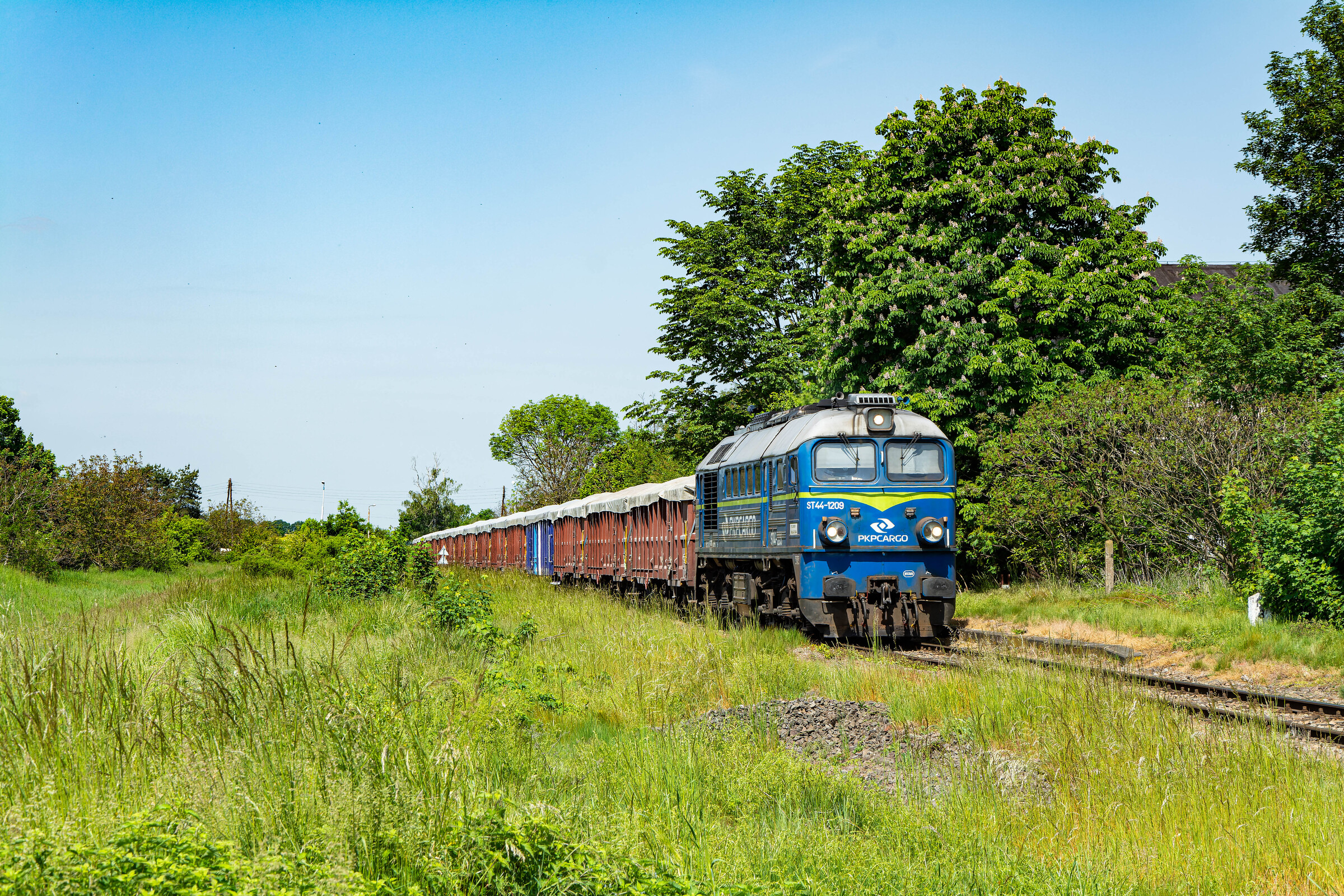 Kołomna w Tłustomostach