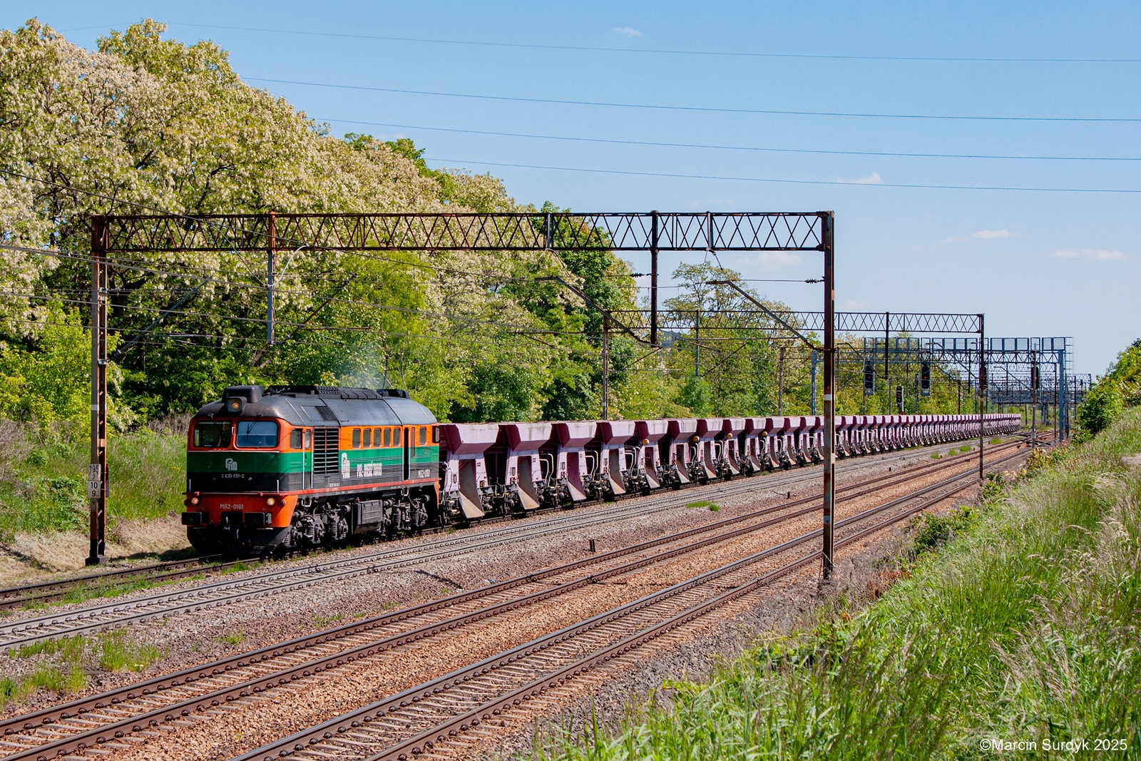 Gagar z dżdżownicą