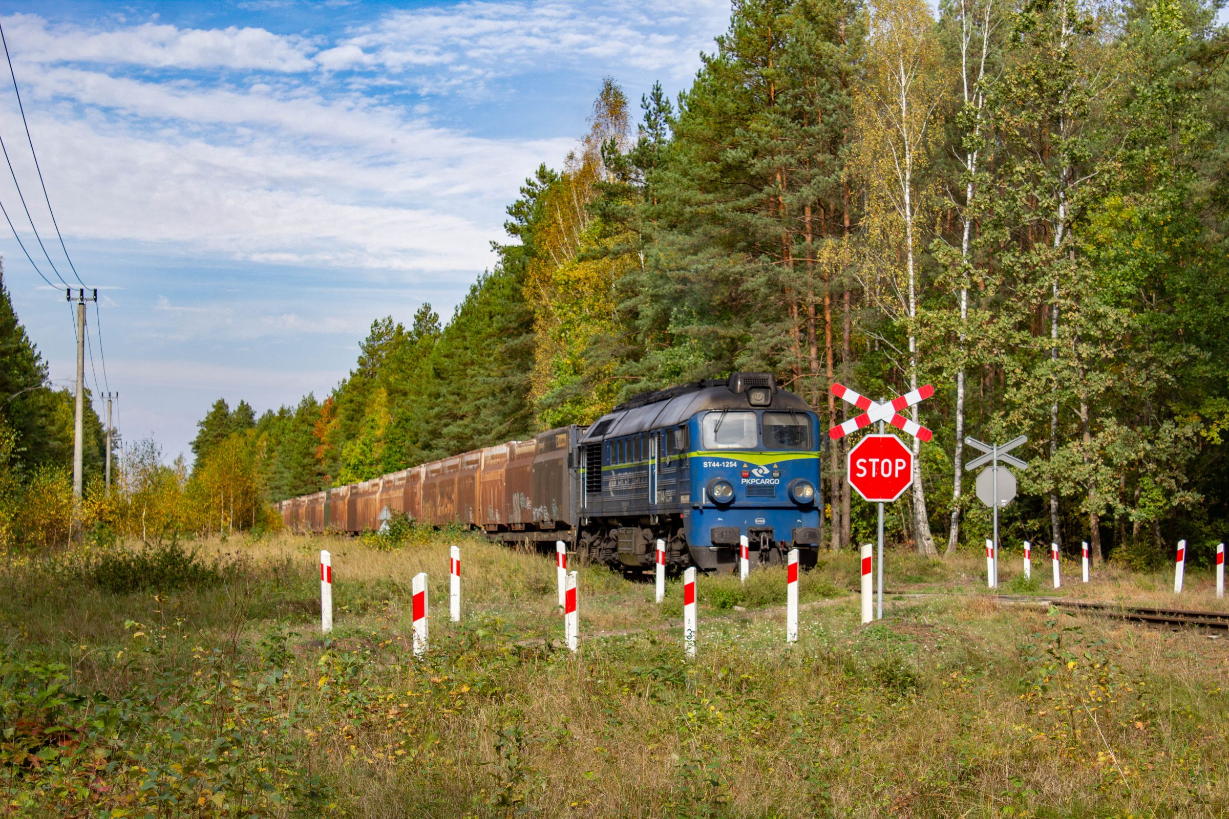 Kołomna w leśnej głuszy