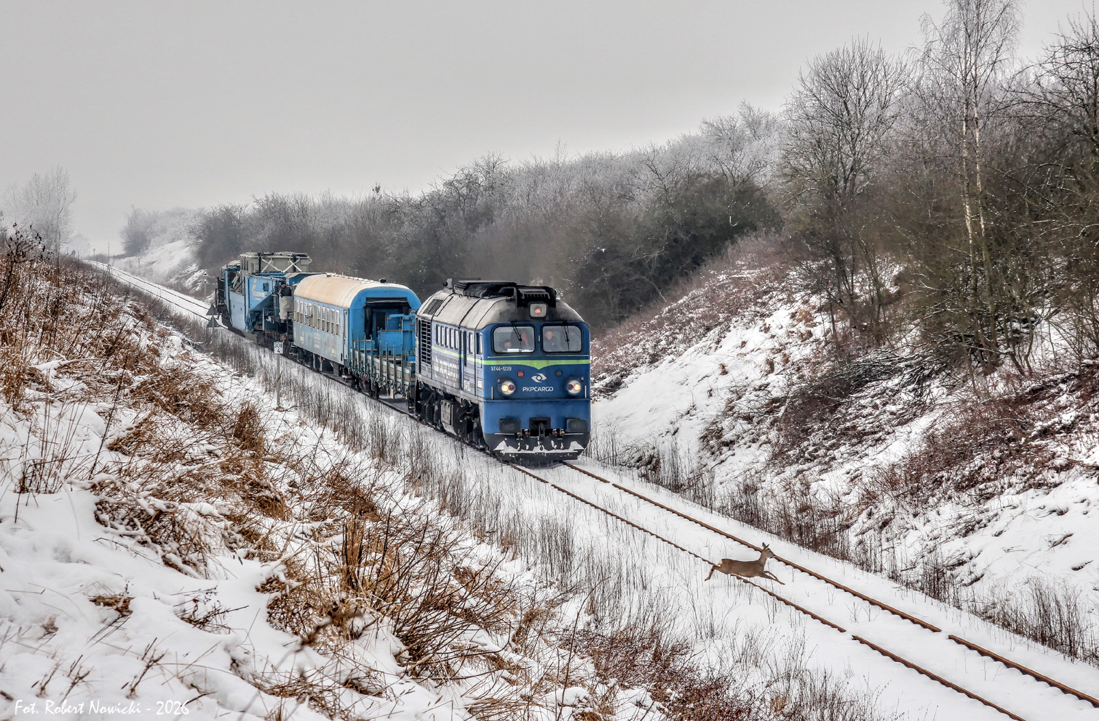 Skrajnia z Nakła do Chojnic