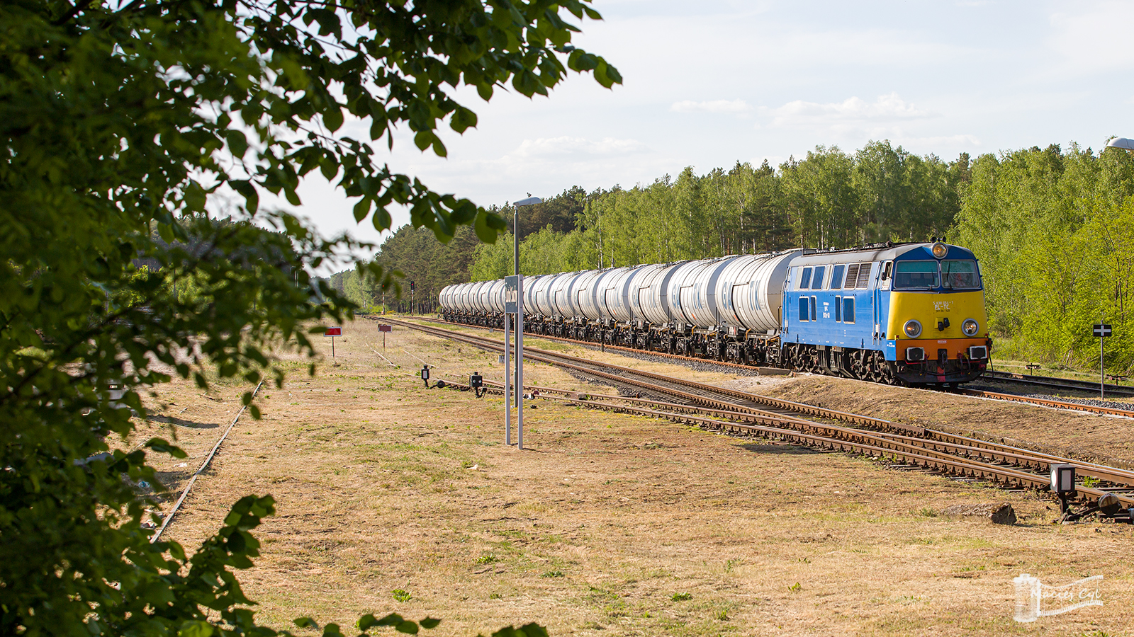 Fiacik w Lutolu Suchym