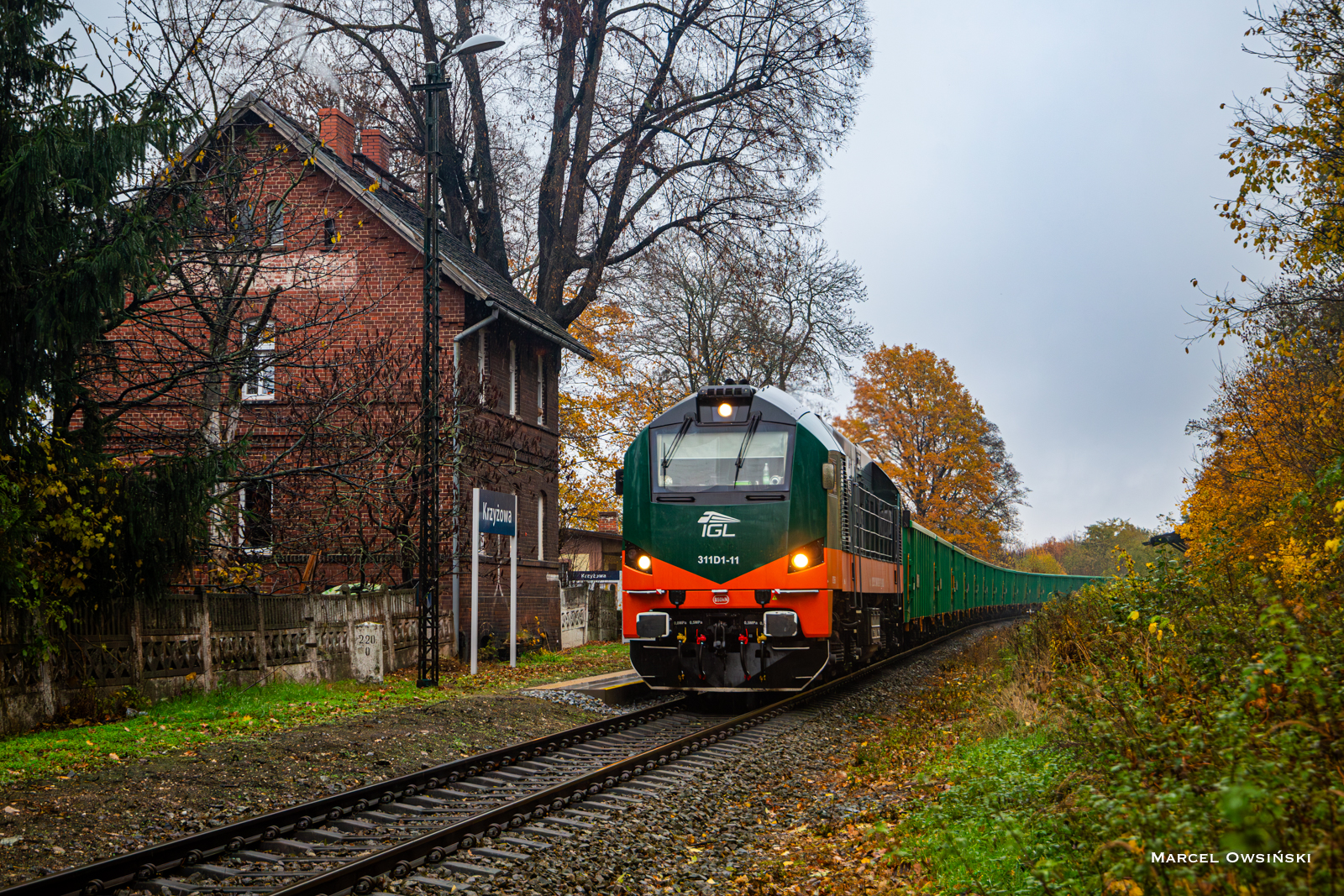 311D1-11 w Krzyżowej