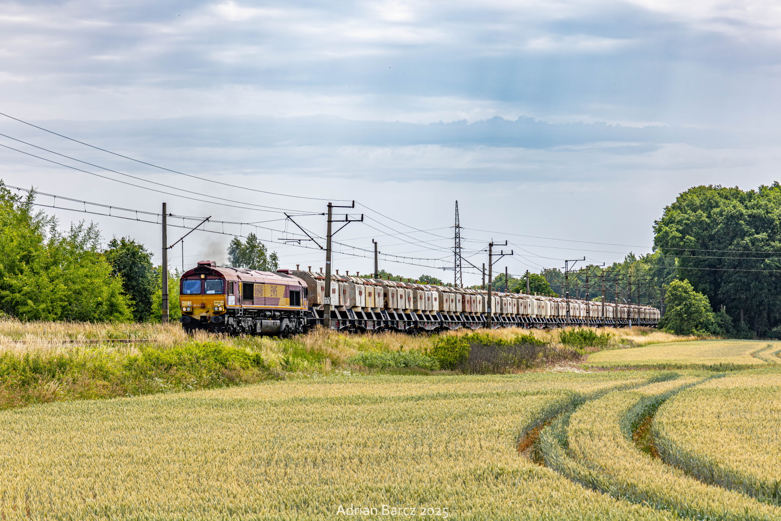 Pudernice do Brzegu Dolnego