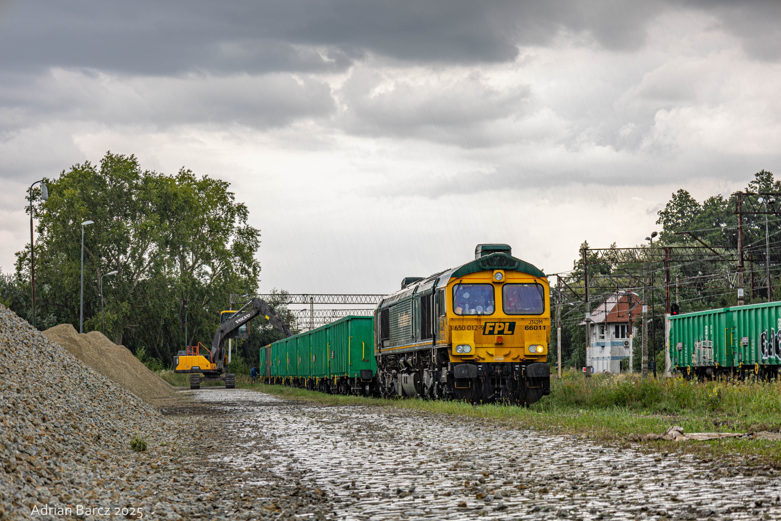 Deszczowy szerszeń na wyładunku