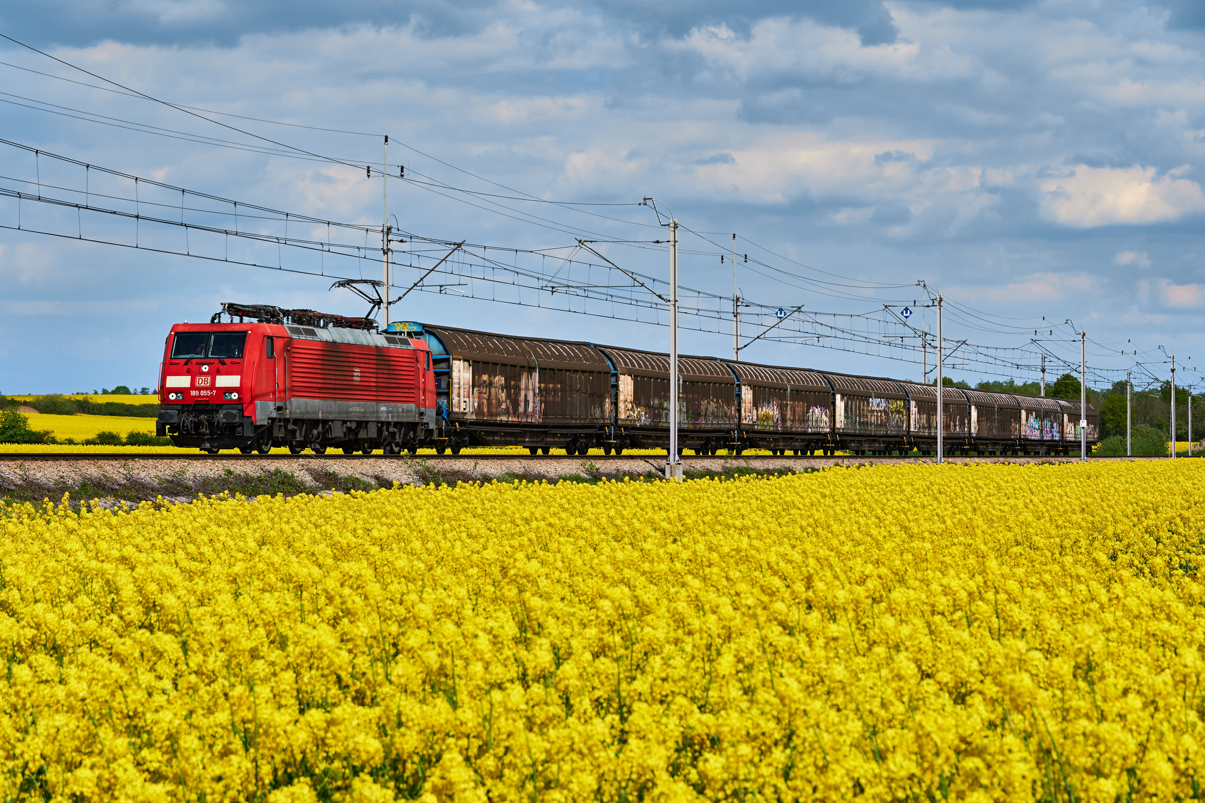 Pewnej wiosny w Szczedrzykowicach