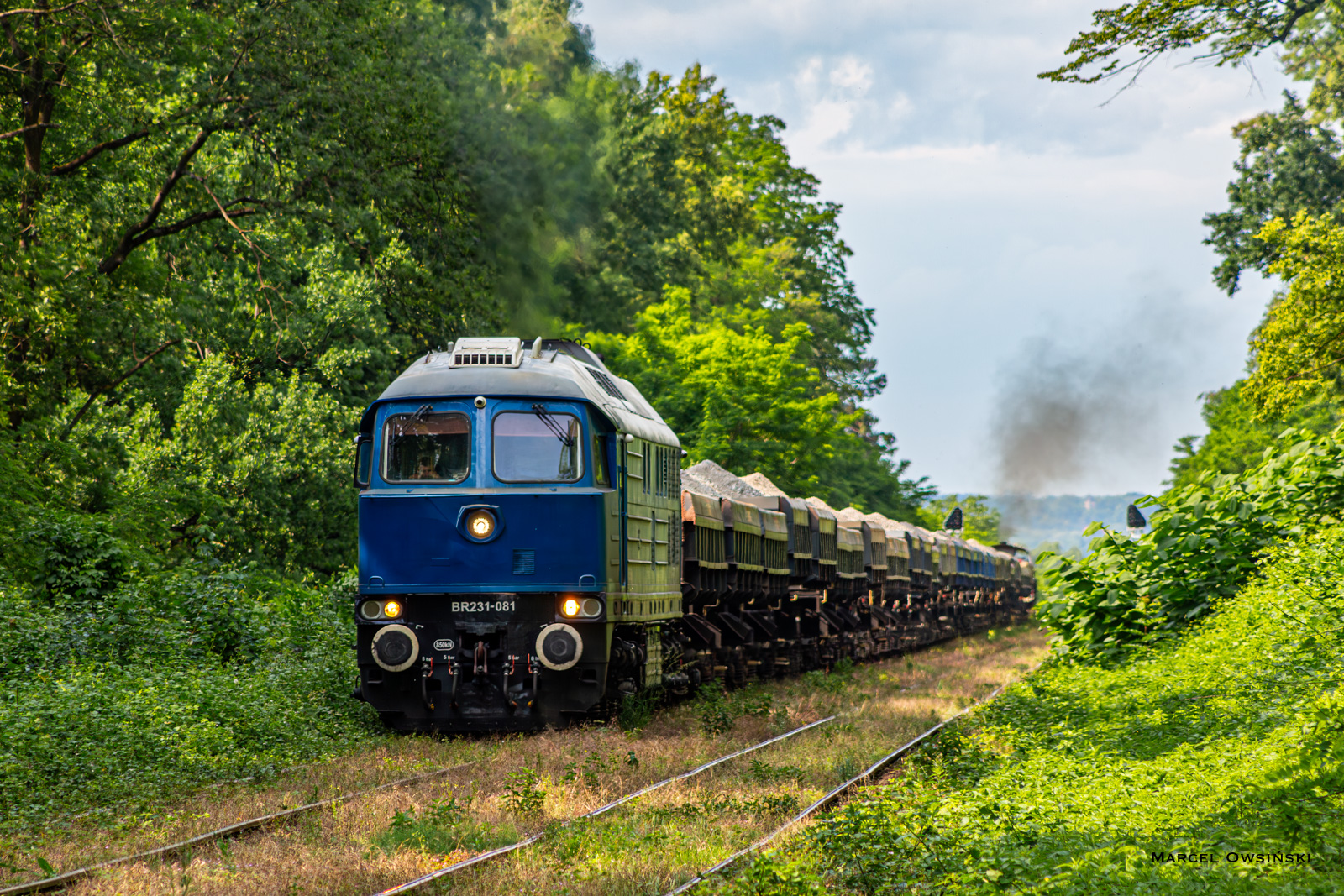 Bułgarka walczy pod Nowy Świętów