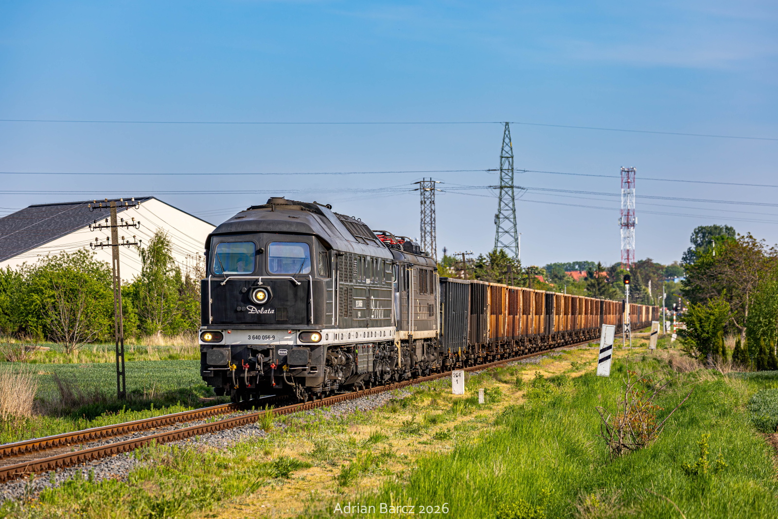 Dolata z Gniewkowa
