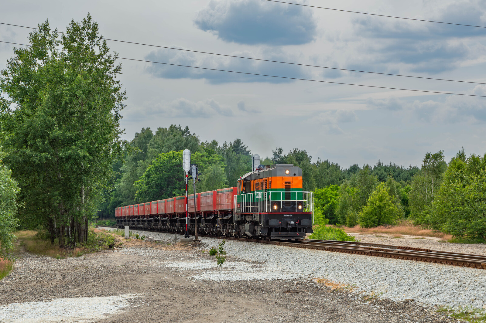 Koziołek z próżnymi kolebami