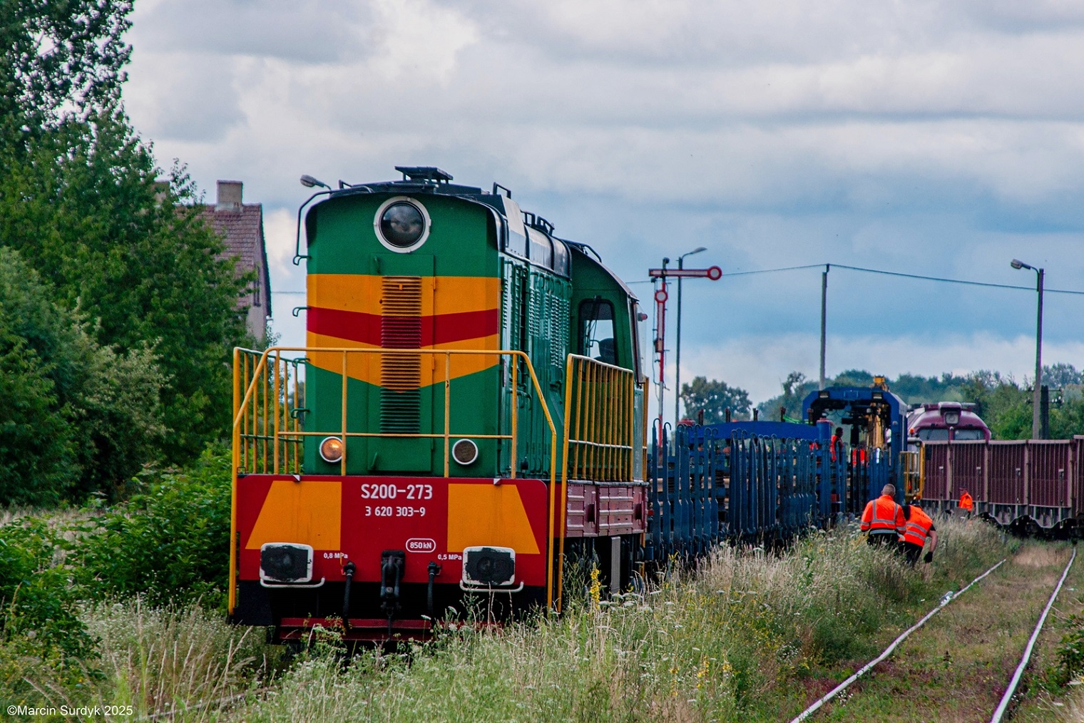 Trzmiel w Gołańczy