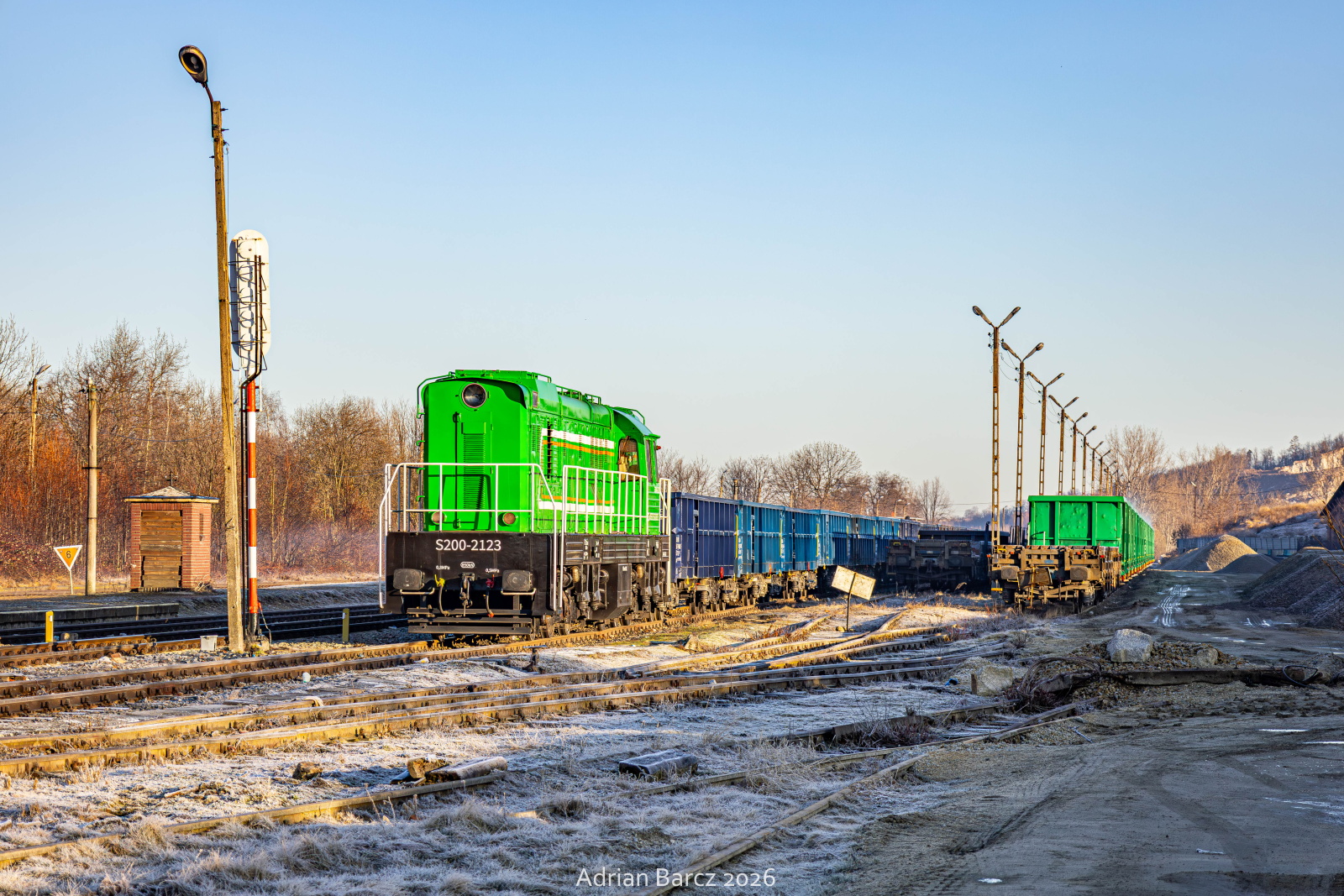 Nietypowy Čmelak w Strzegomiu