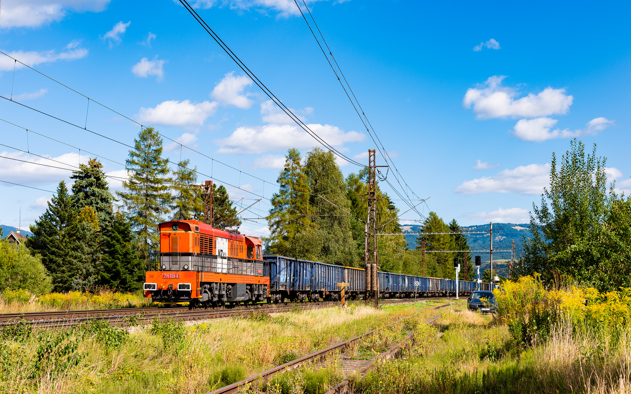 Trzmiel NZ Rail