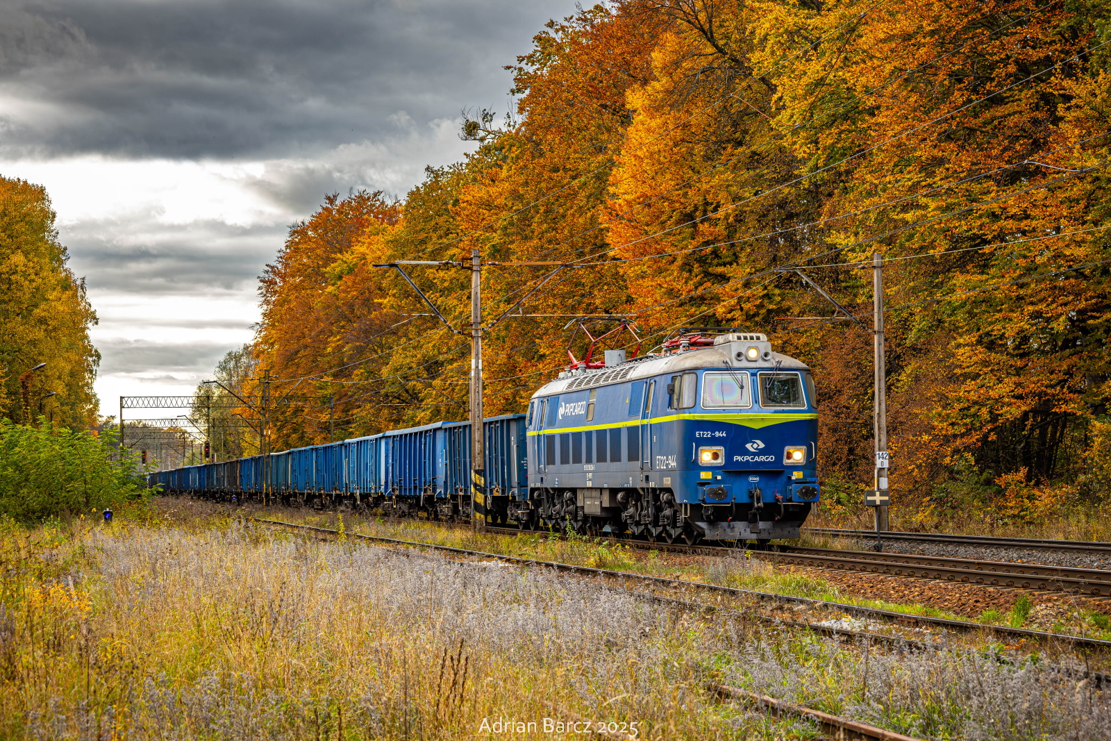 Borowa jesienią