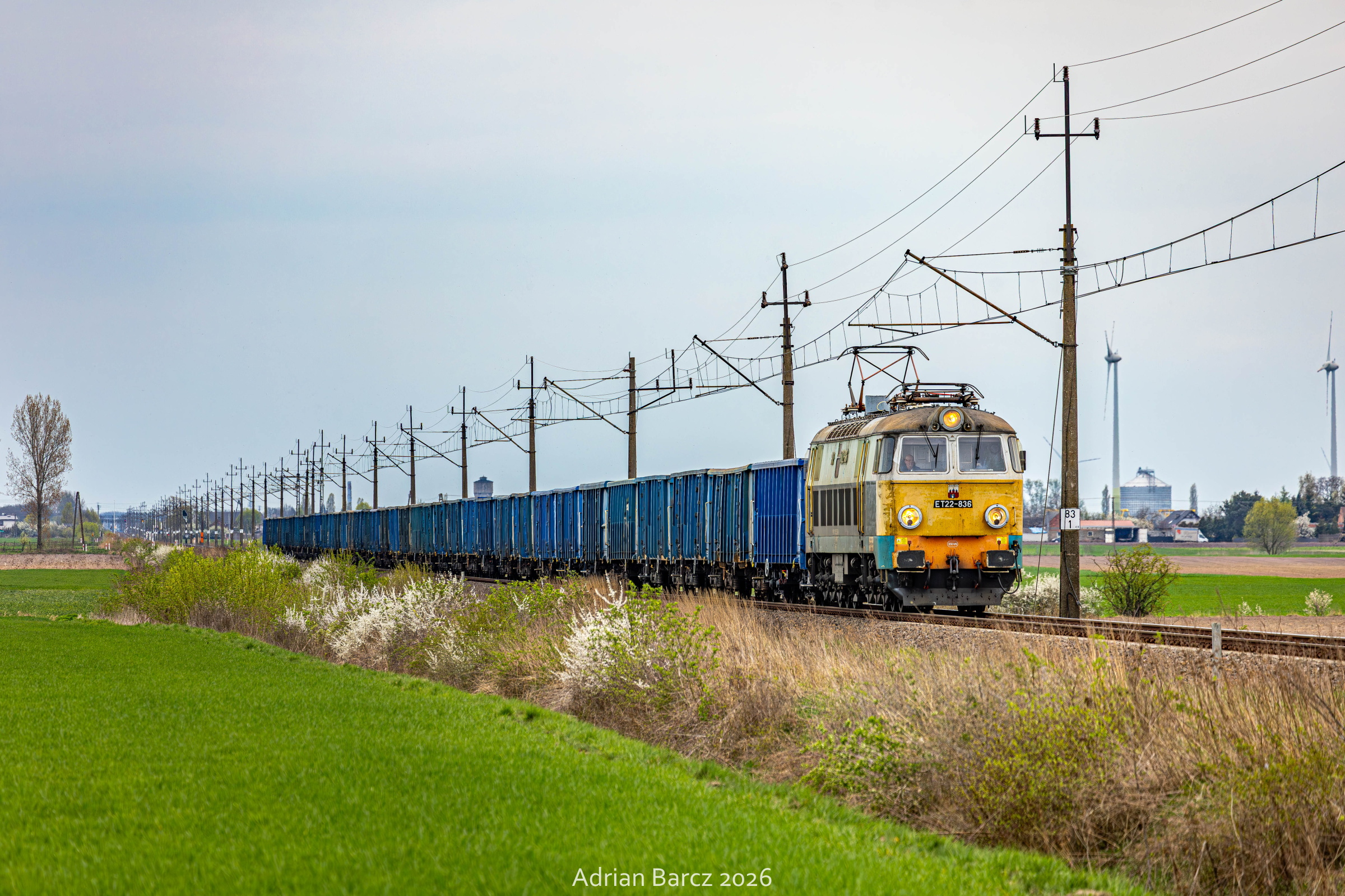 Na Wielkopolskim szlaku