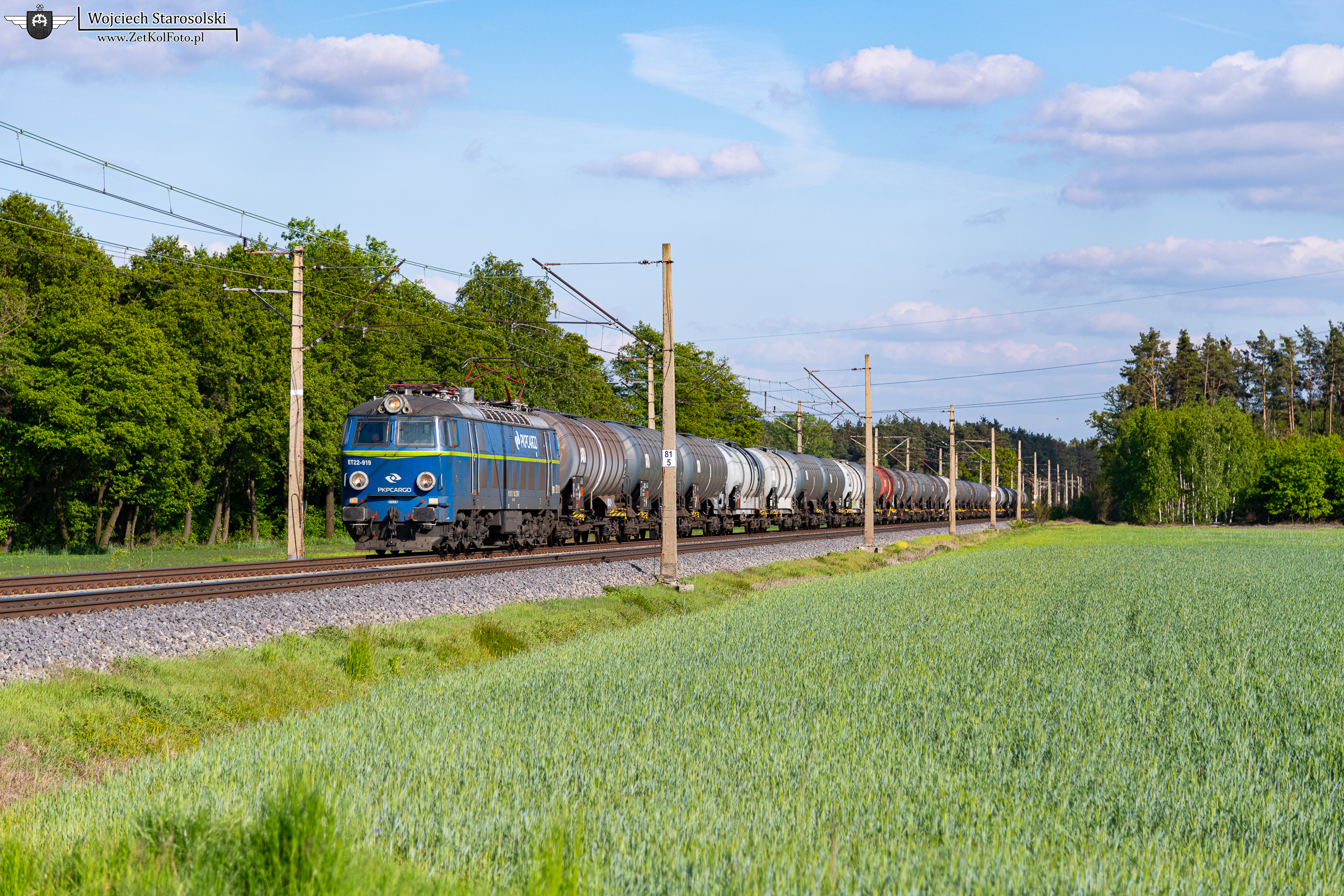 Byk w Krzydłowicach