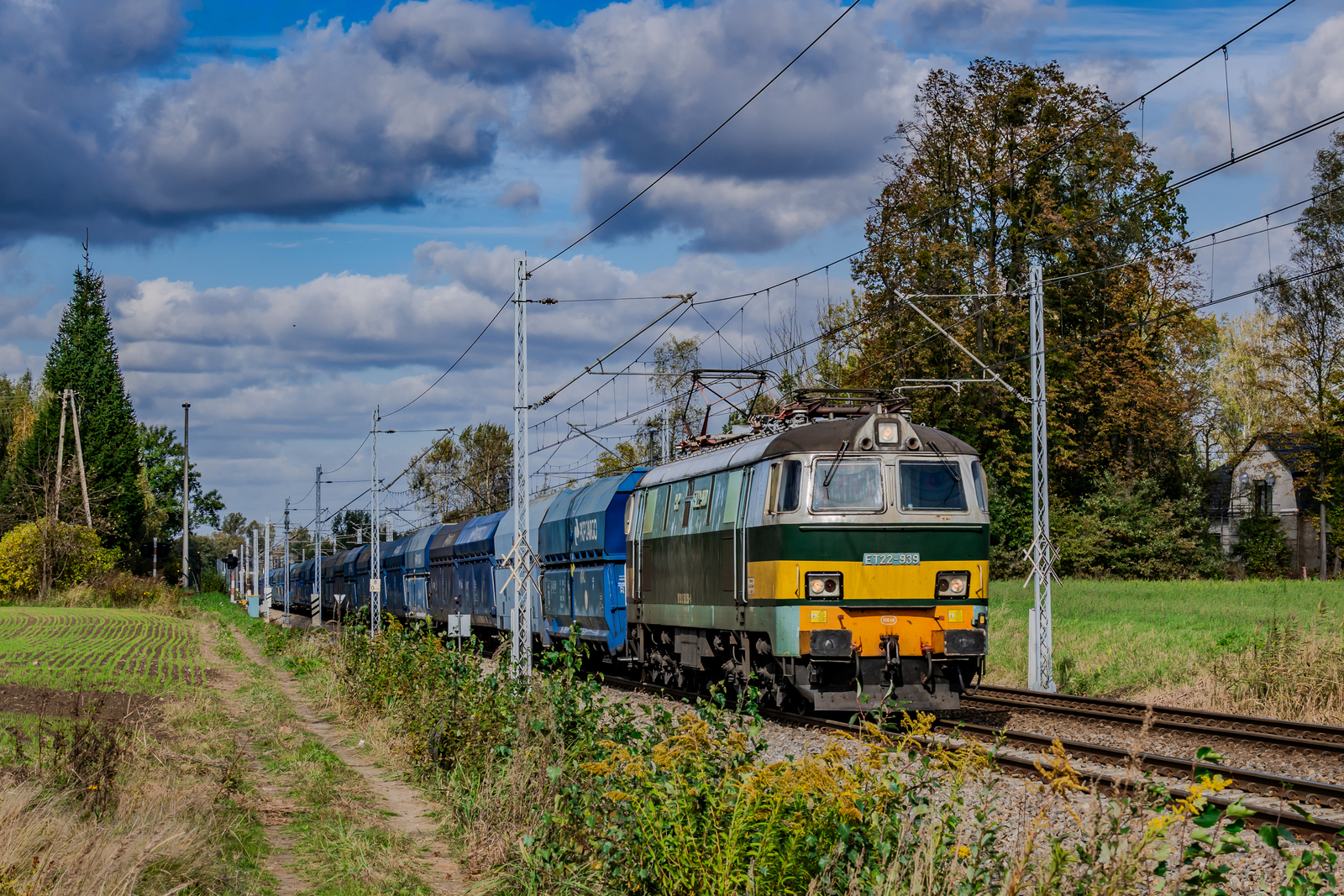 "Rekinem" przez Czuchów