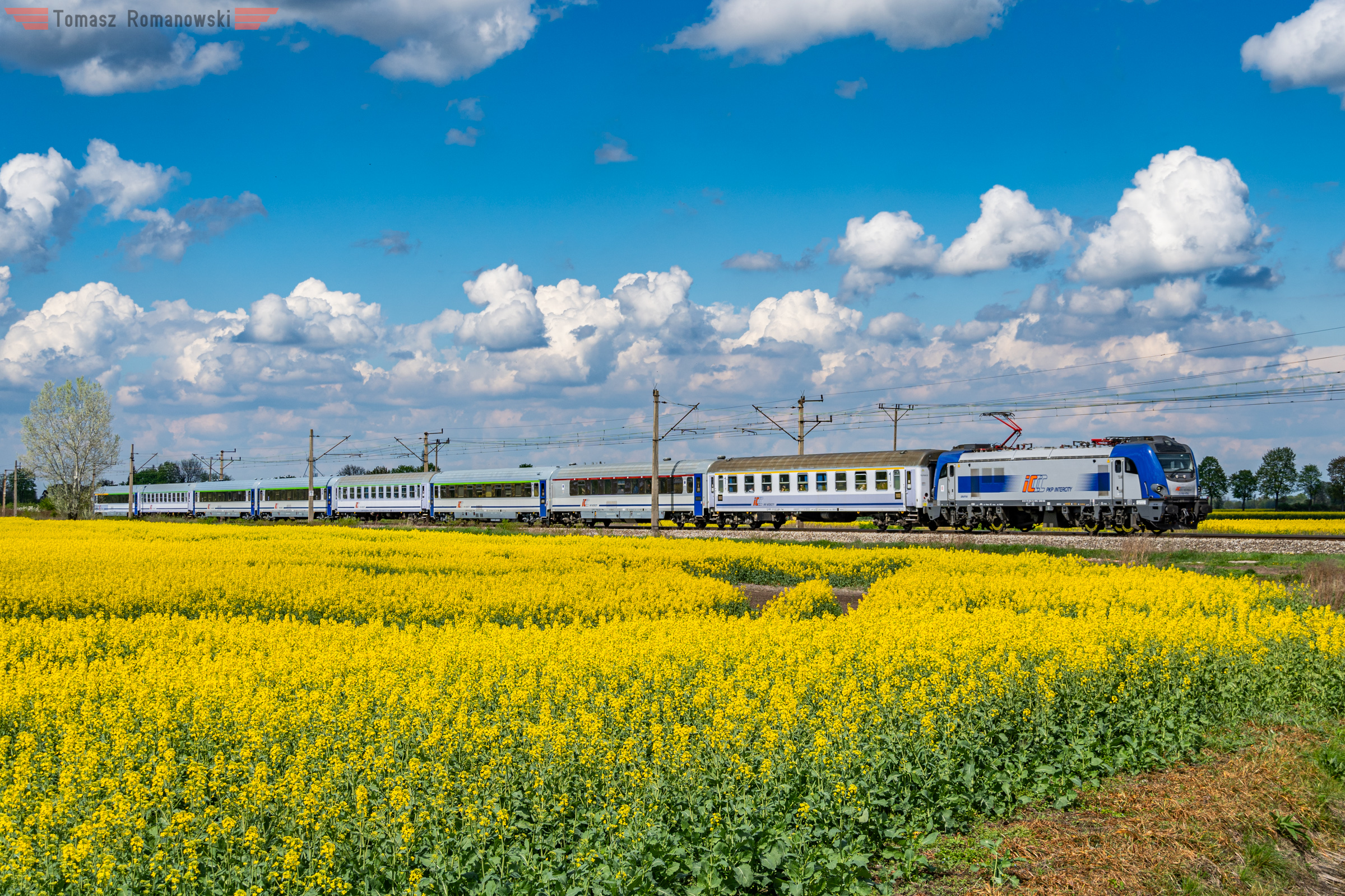 Sezon na rzepak otwarty