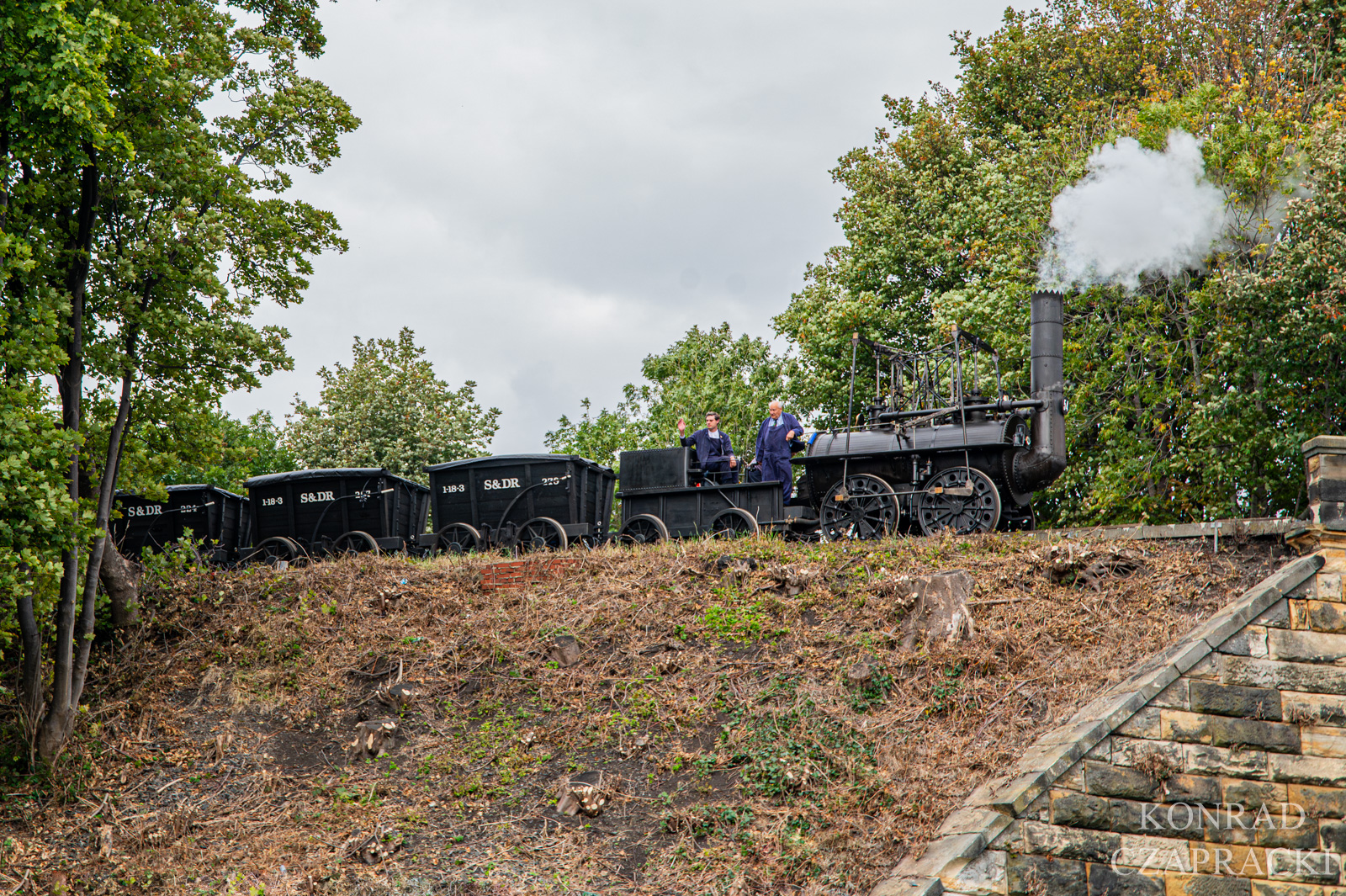 Locomotion