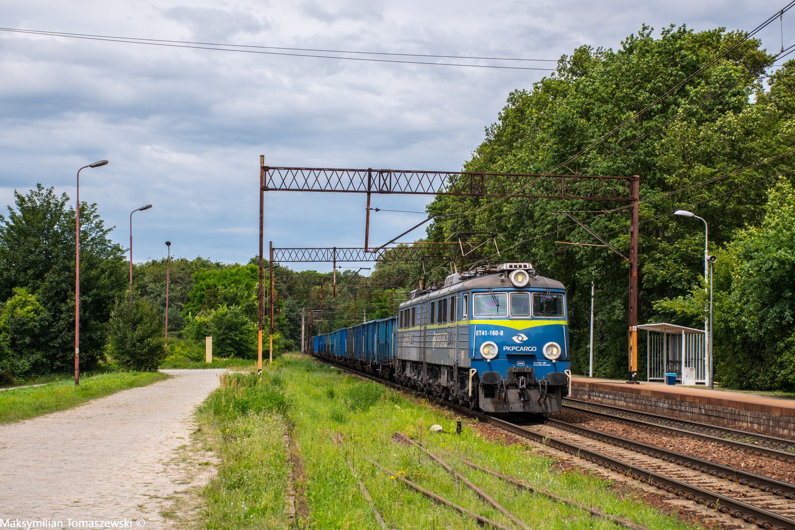 Jamnik w Księginicach