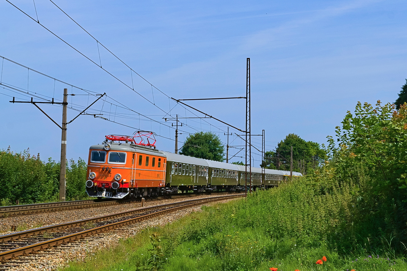 Czesio z nieśpiesznym