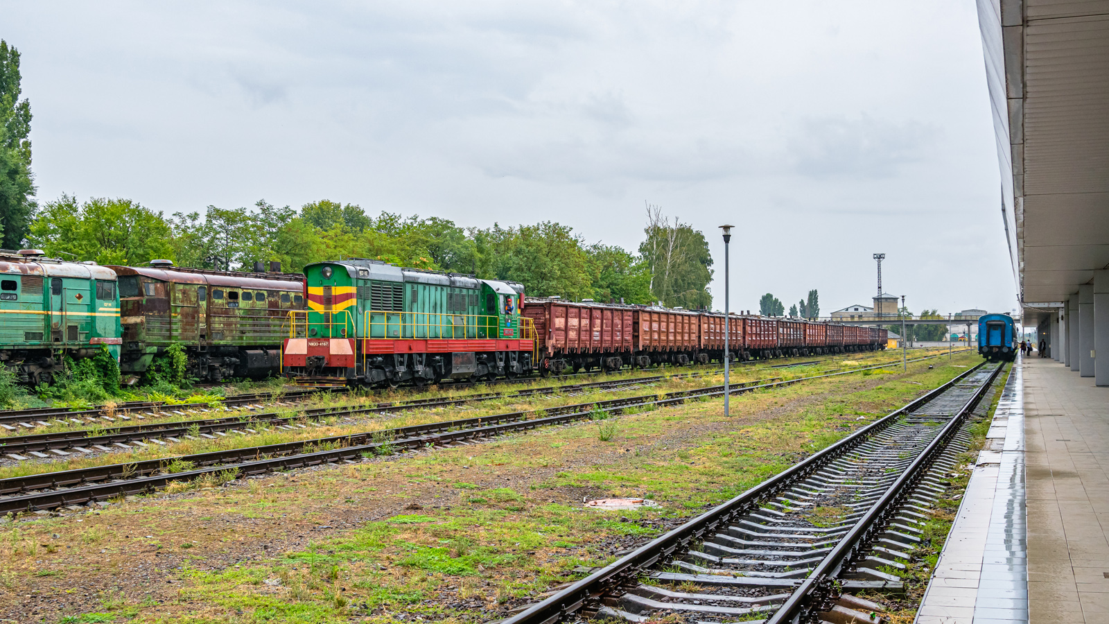 Ćmielak z towarówką