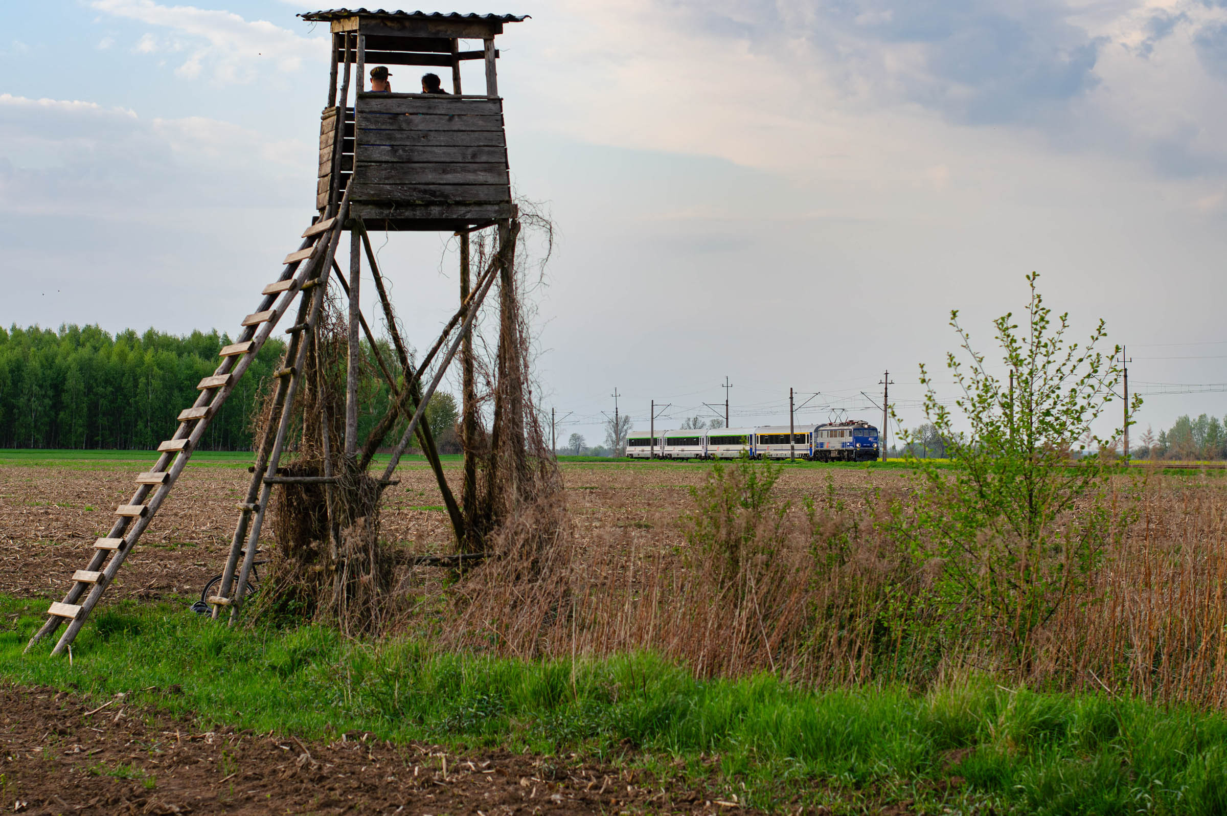 Stoi sobie ambona...