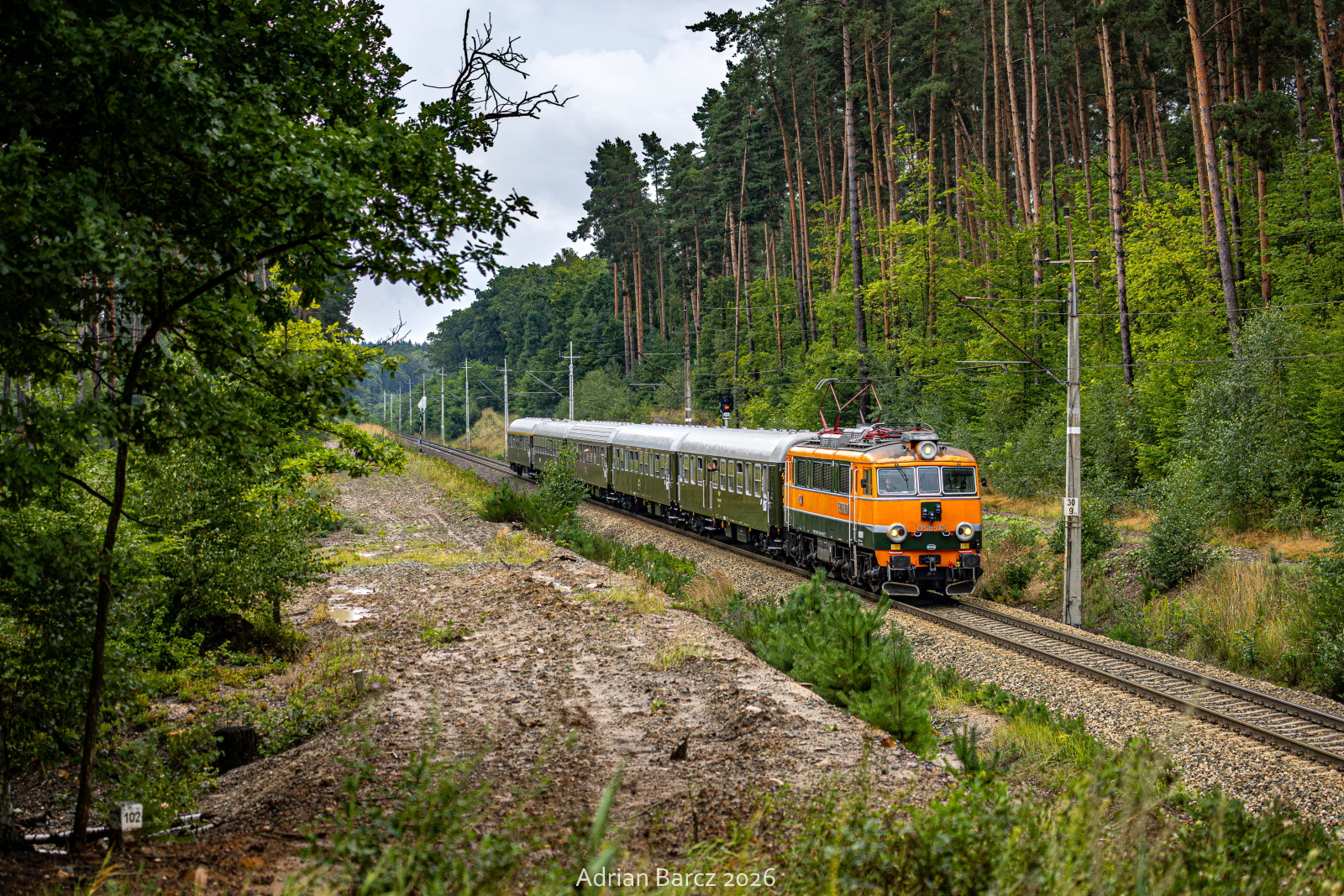 Nieśpieszny Franek