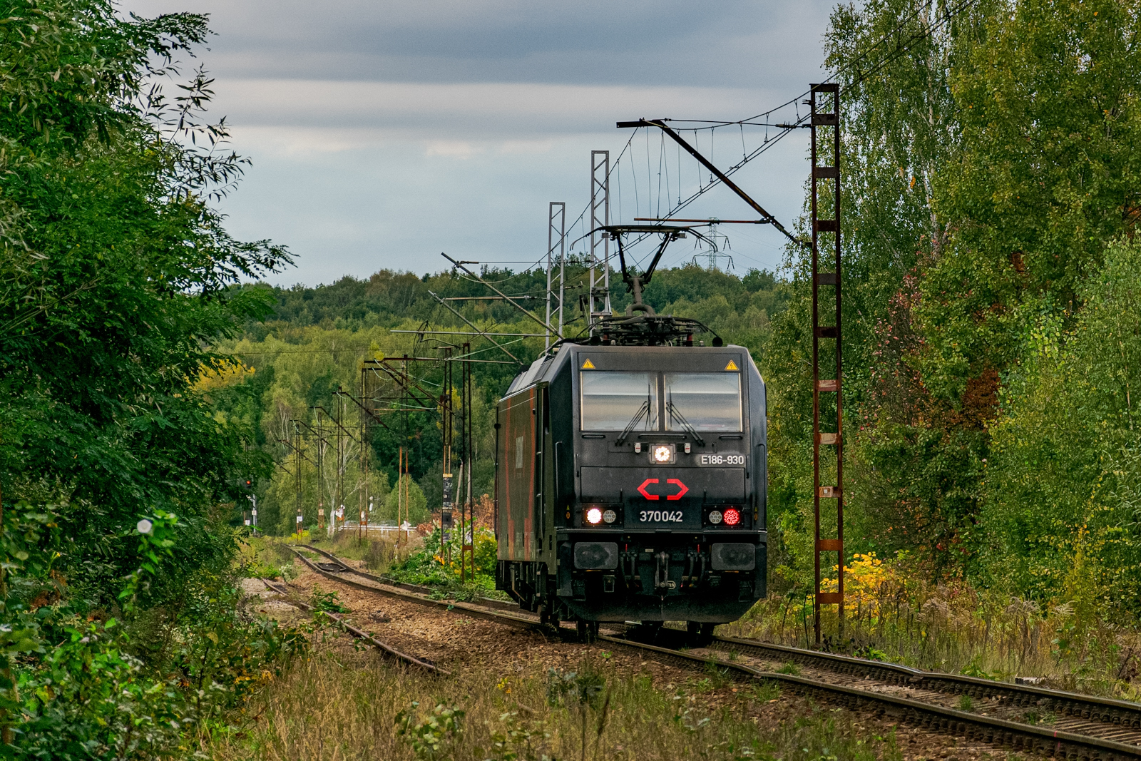 Luzak popołudniową porą