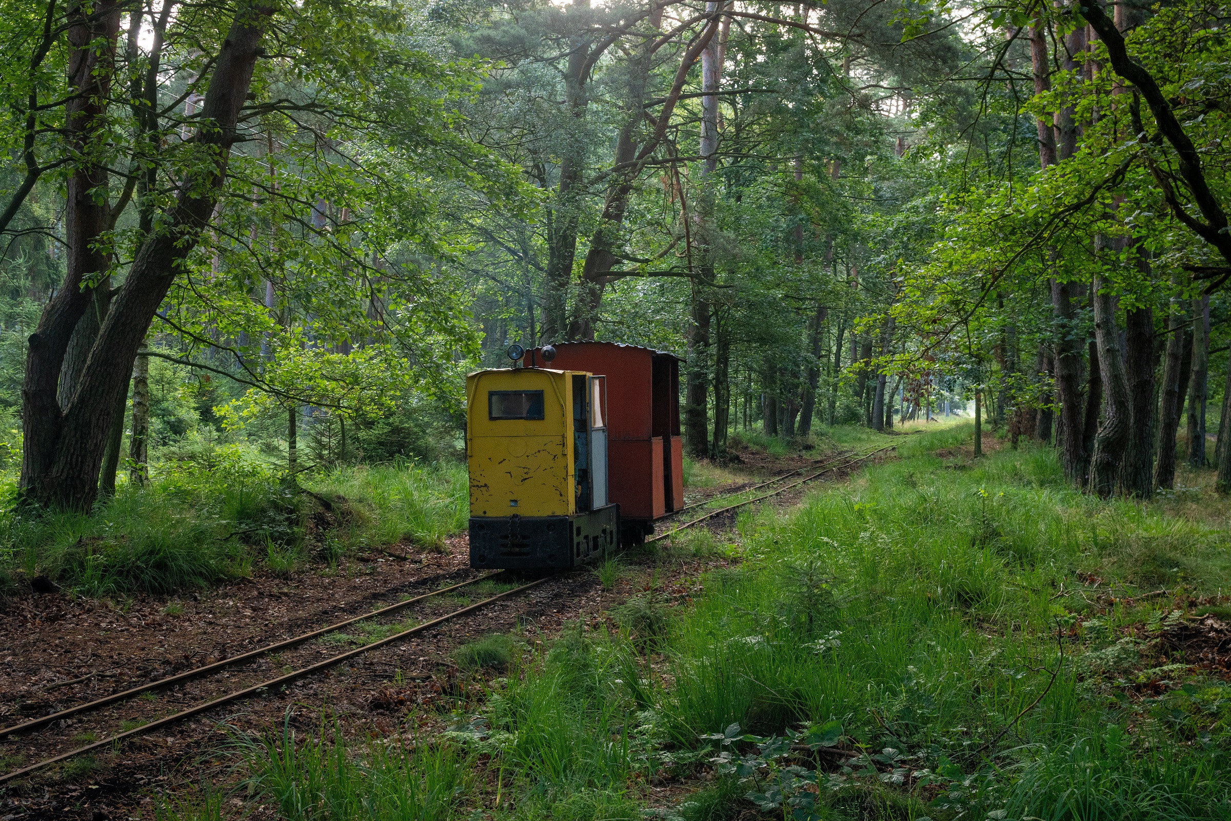 Szczęście przy jego braku
