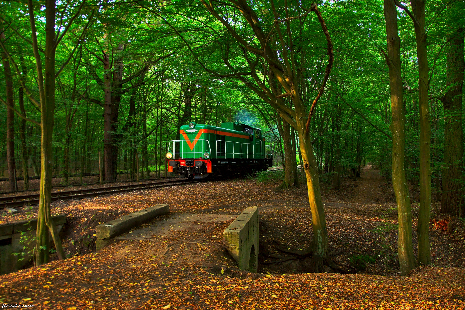 Niesamowita kraina....