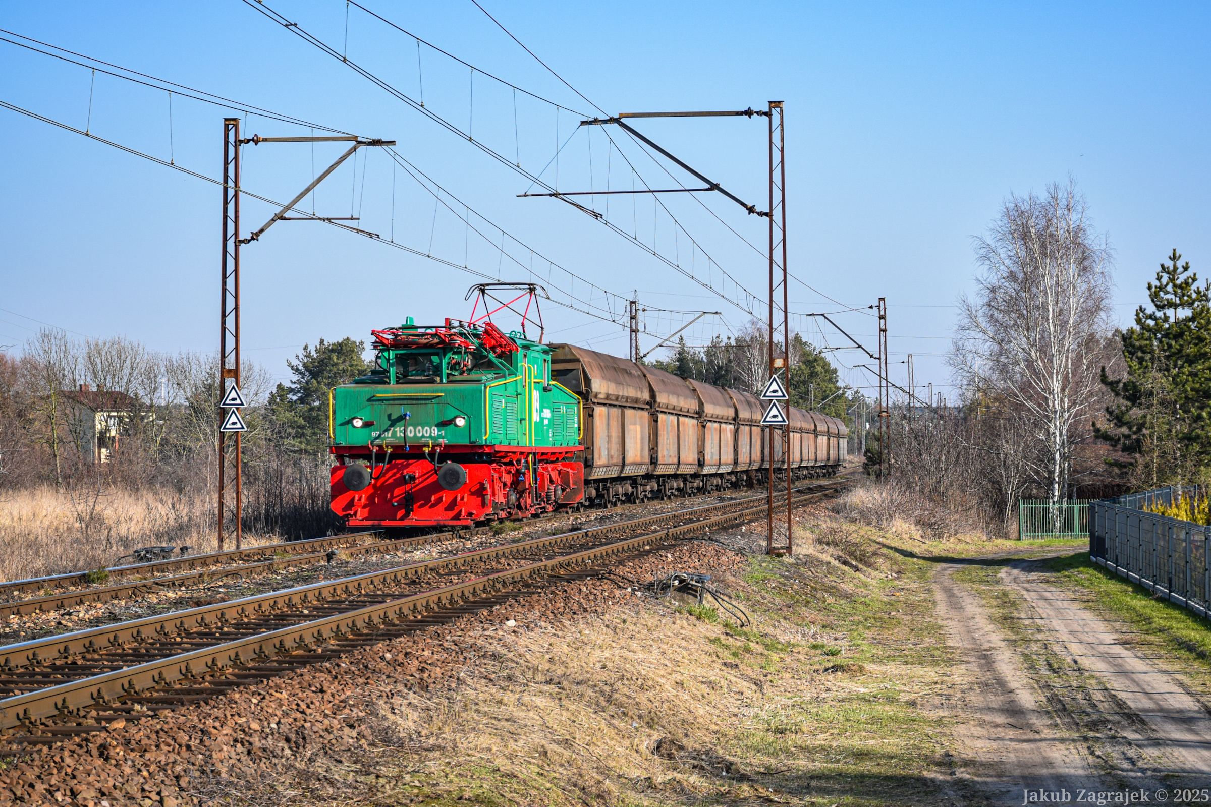 Krokodyl "prosto z fabryki"