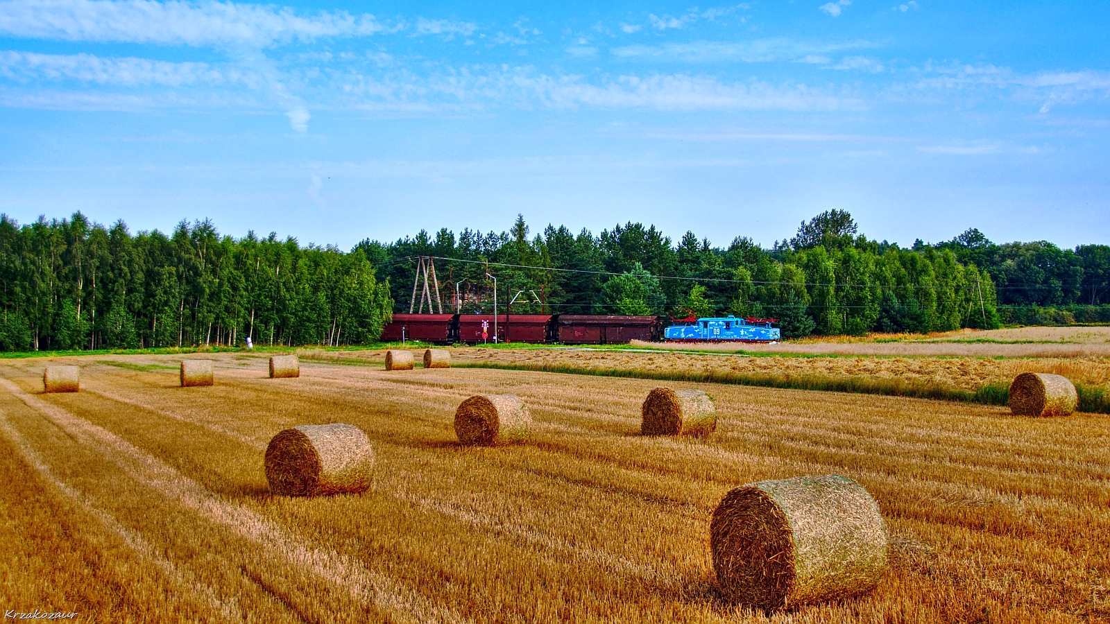 Powoli odjeżdżające krokodyle