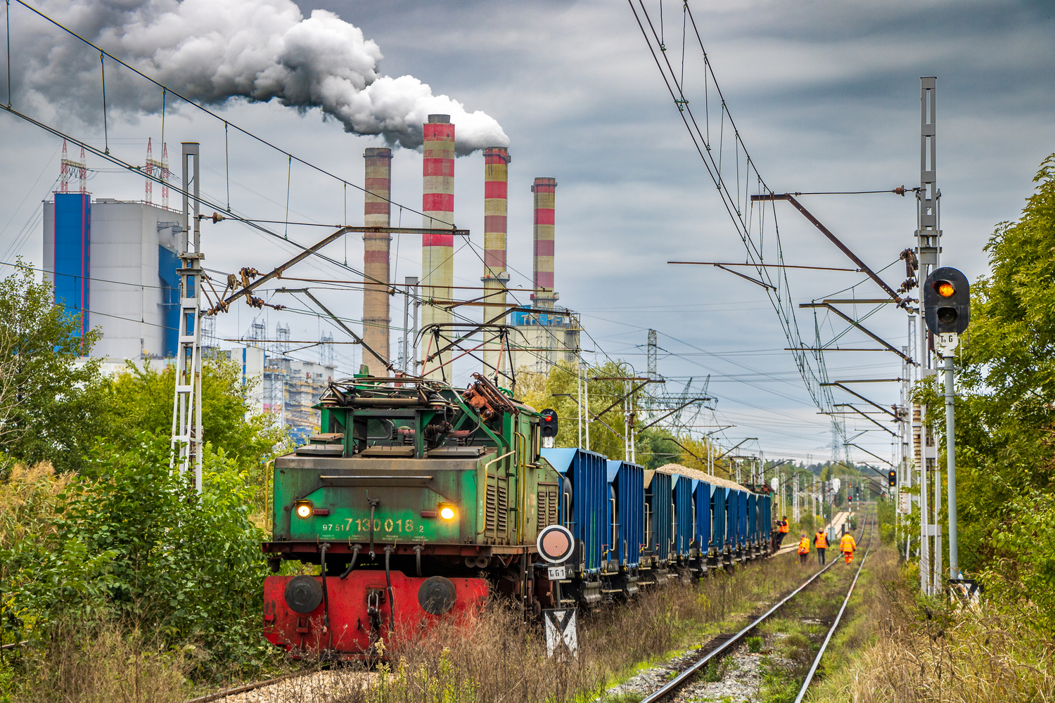 Krokodyl w Pątnowie