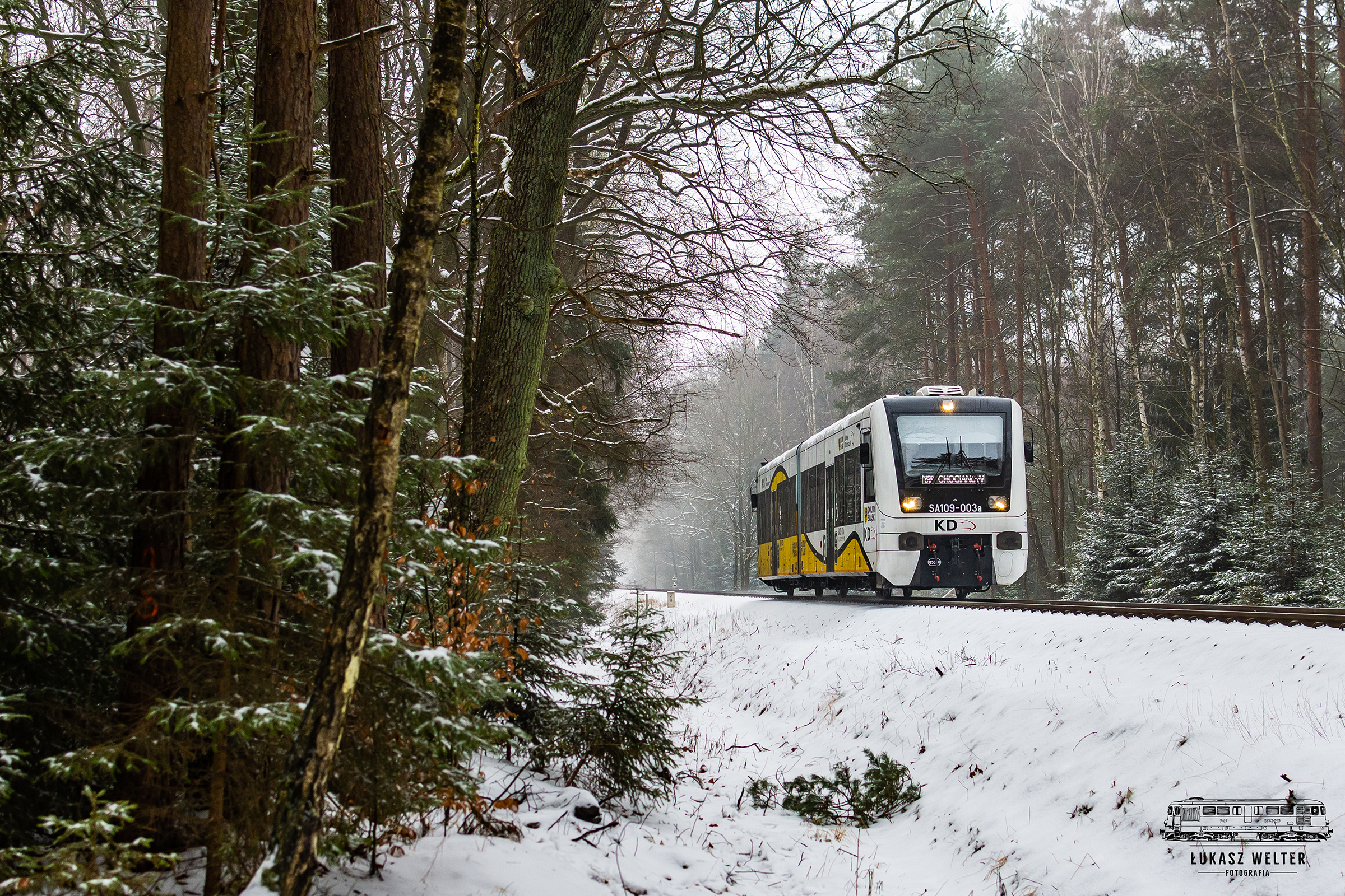 Dzidziuś do Chocianowa