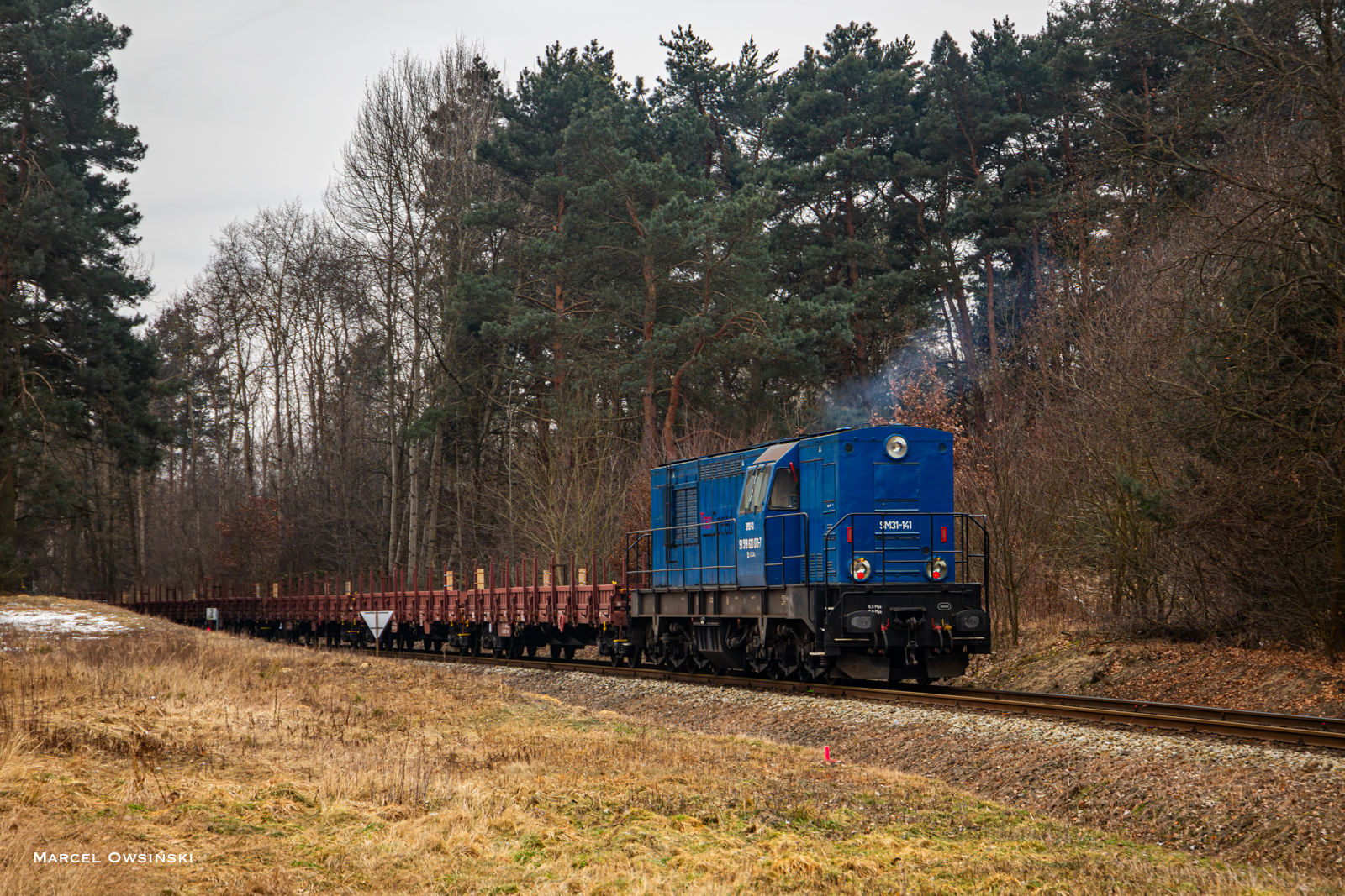 SM31-141 na linii kolejowej nr 326