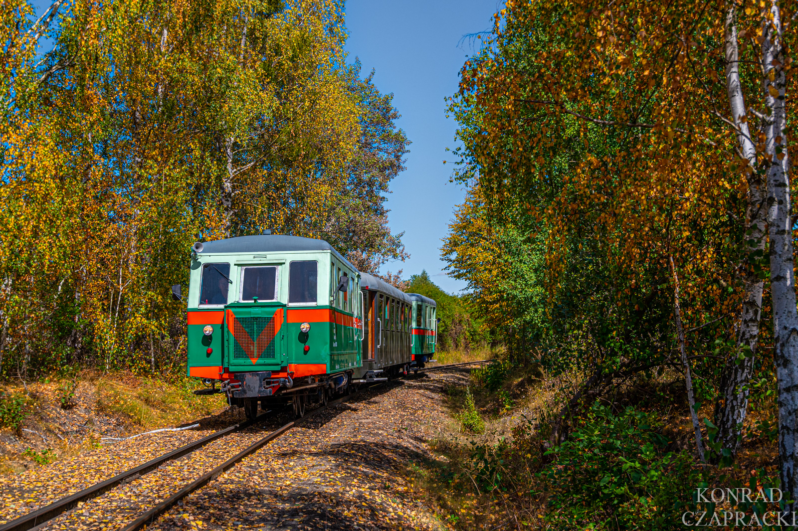 Pierwsze, jesienne kadry