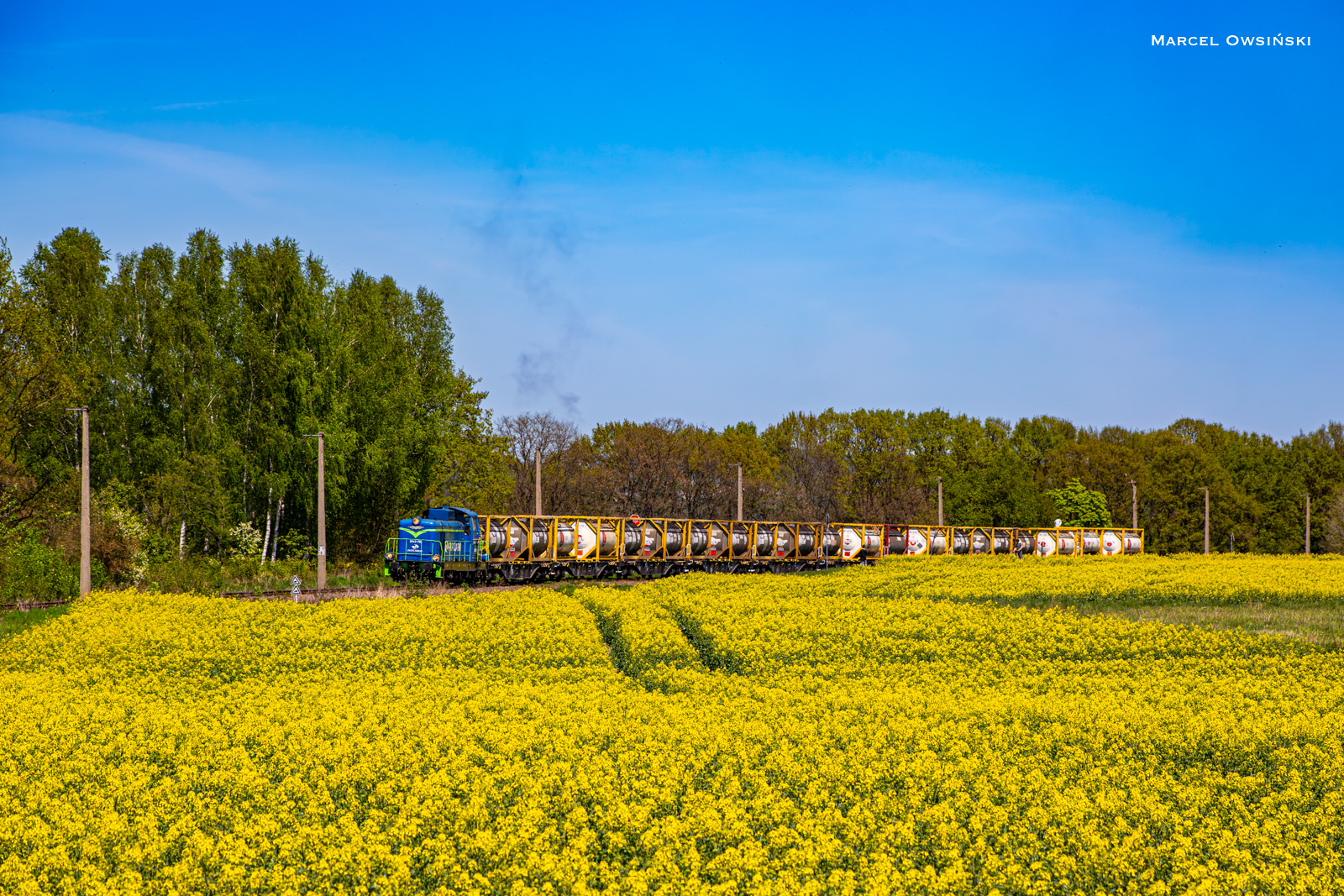 SM42-760 z "Alwernią" w rzepaku