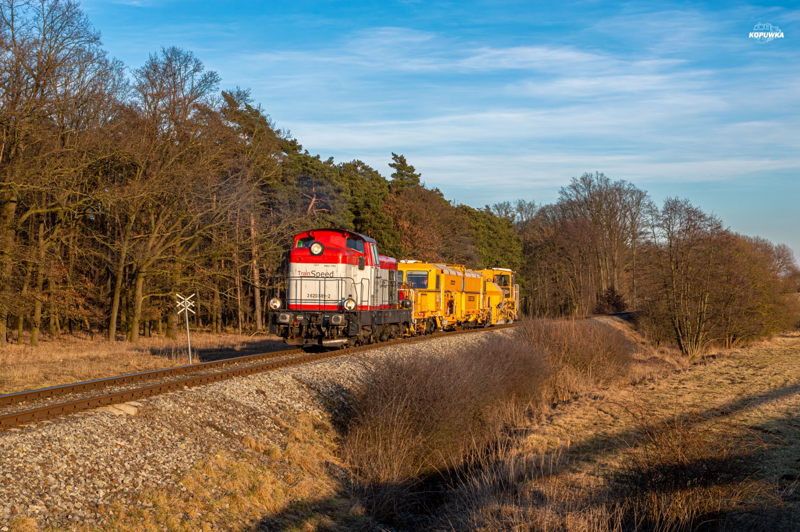 Stonka na Gostyńskiej