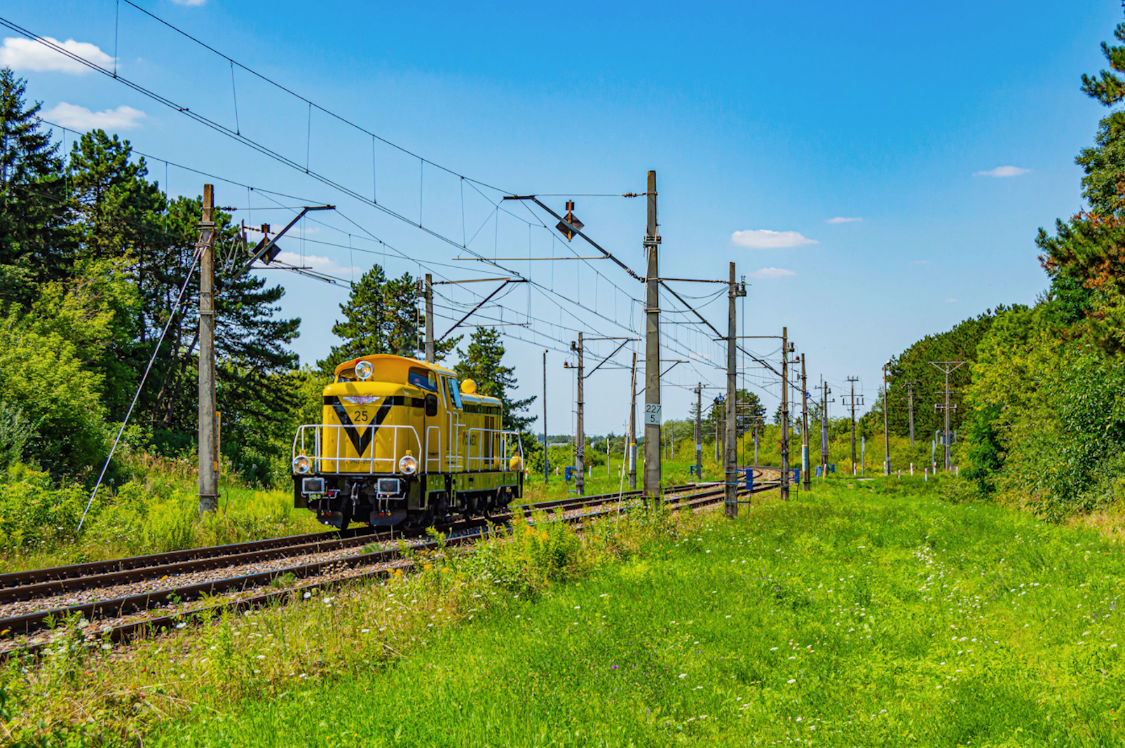 Sierpniowa Niedziela ze stonką CEMEXu