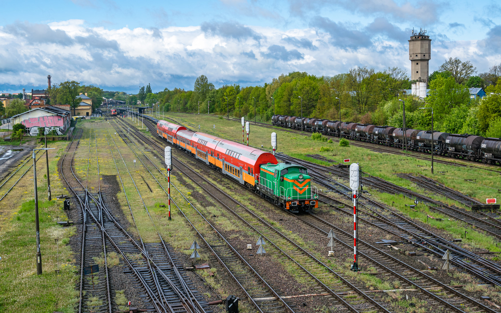 Zielona stonka z Turem