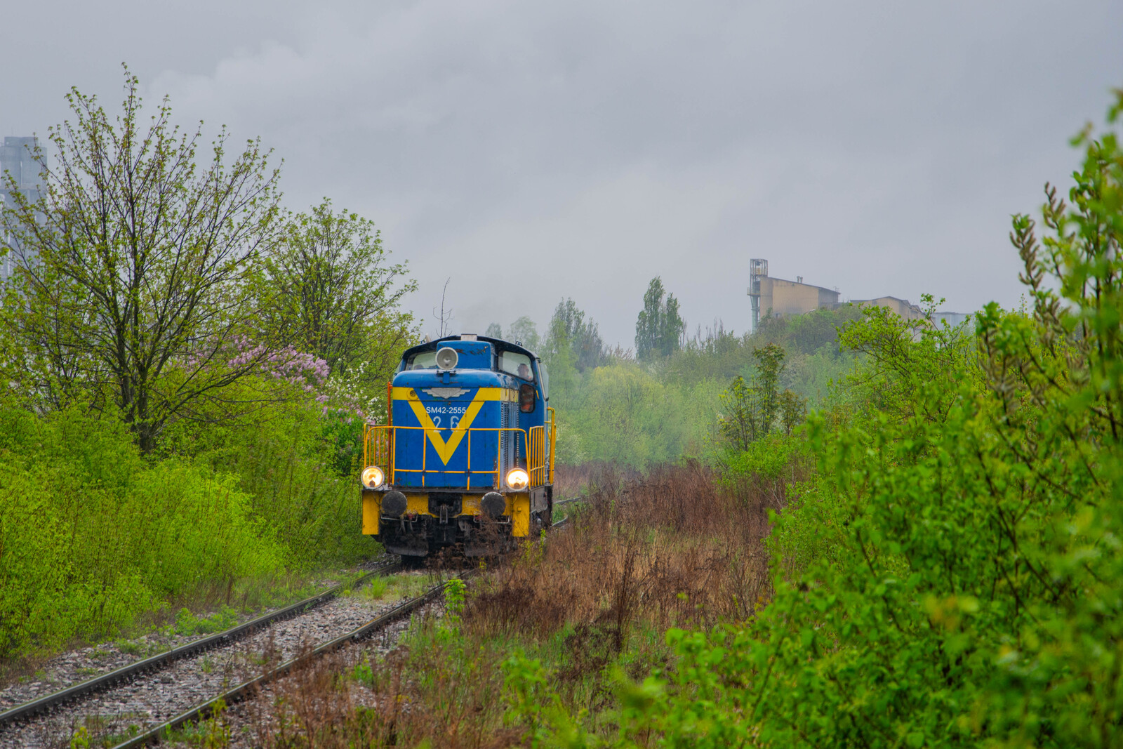 stonka i kwietniowy deszczyk