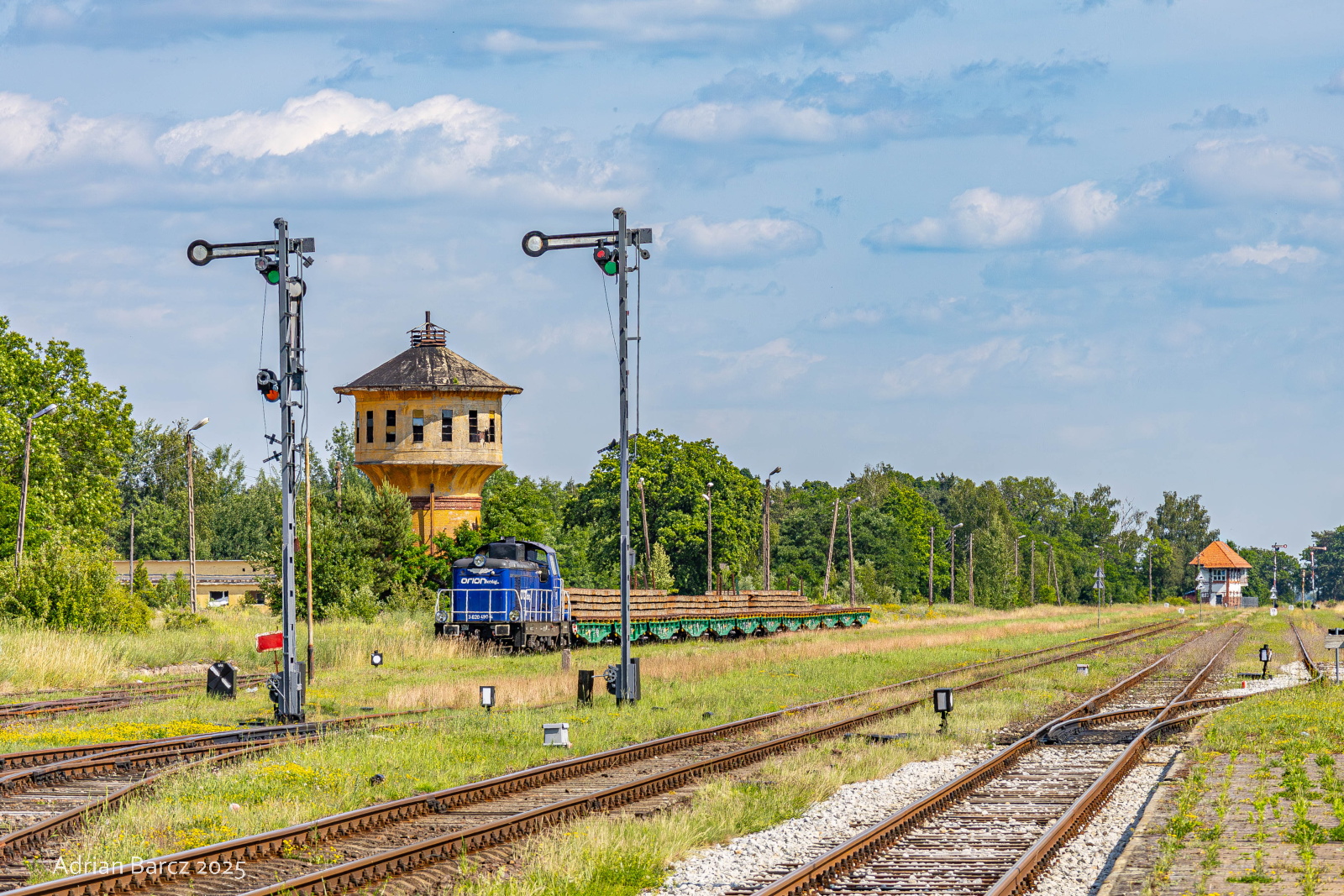 Wygrzewająca się Łajka