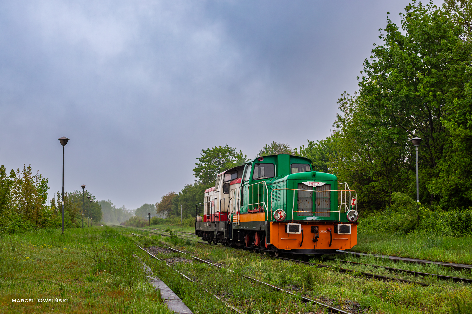 Nowa kaczka do Doboszowic