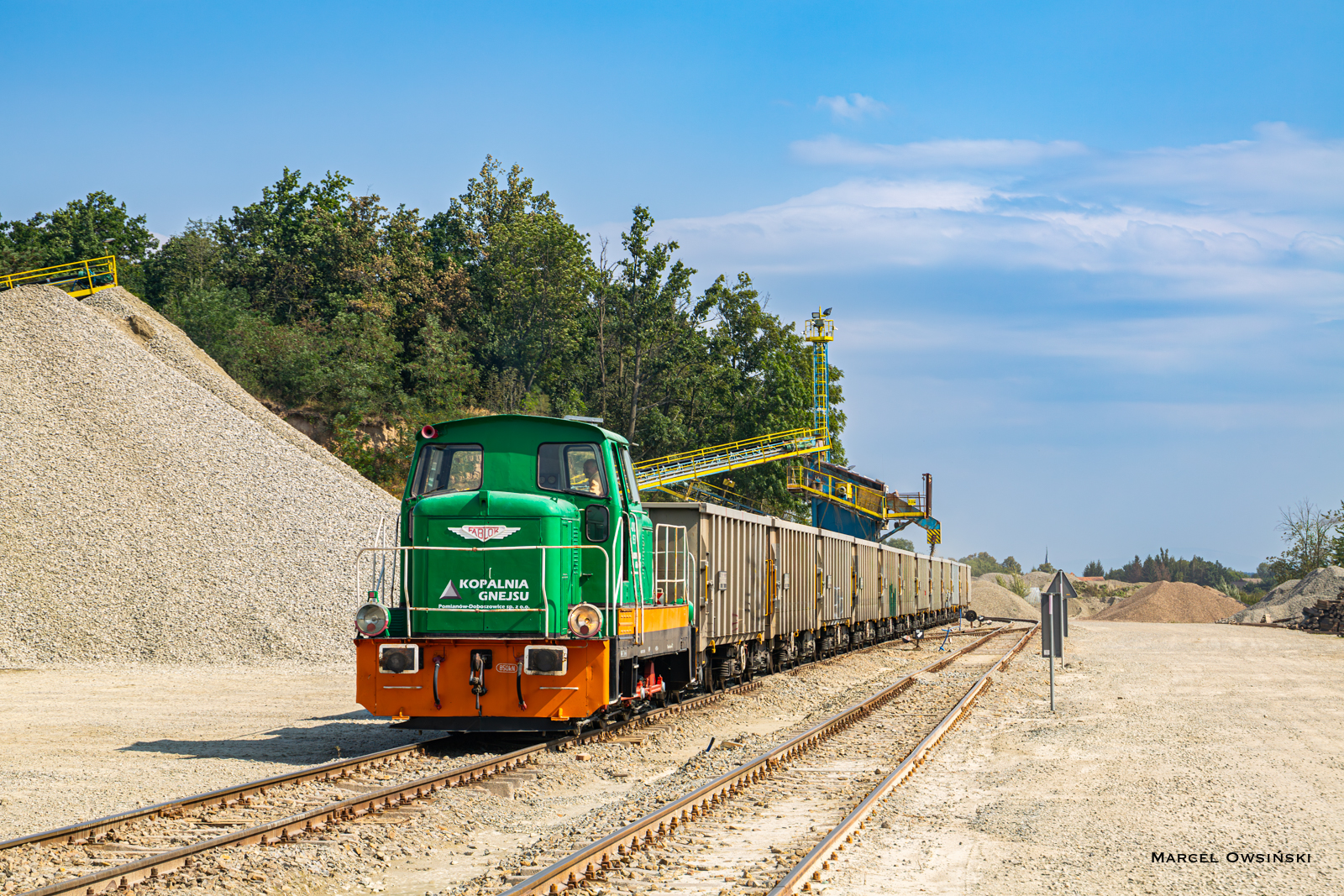 Doboszowicka kaczka w pracy