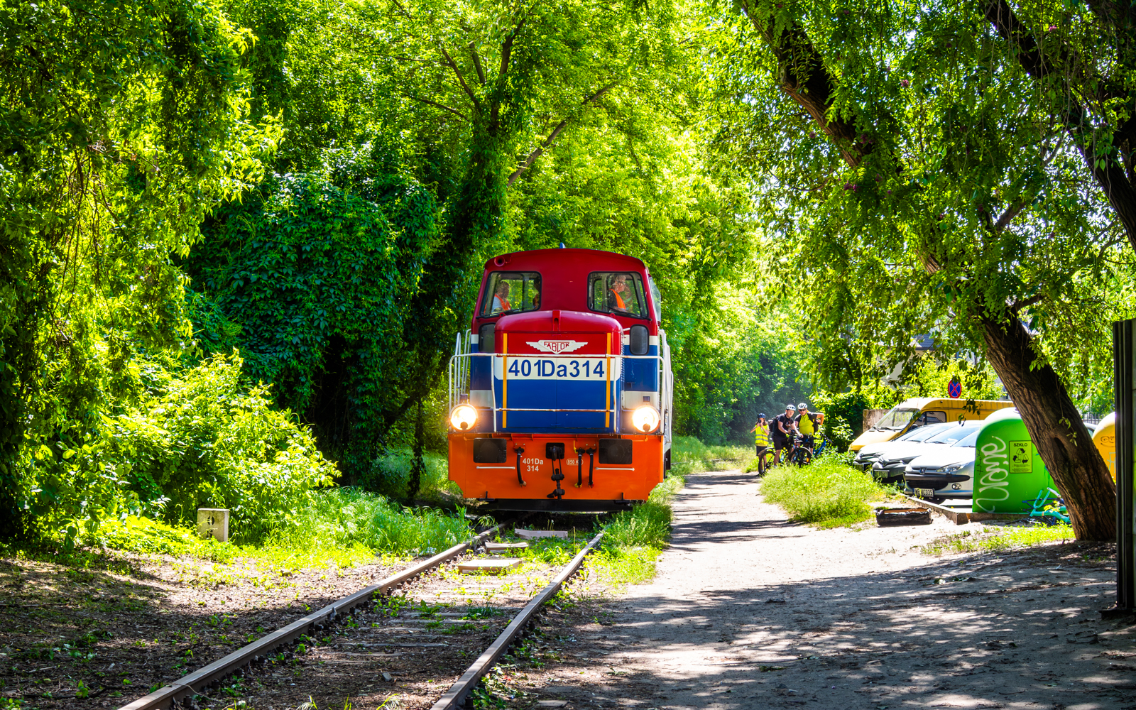 Kaczka przez Pruszków