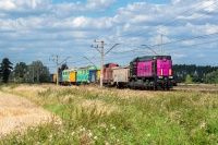 Ocalić z zapomnienia