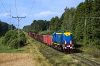 TEM2-247